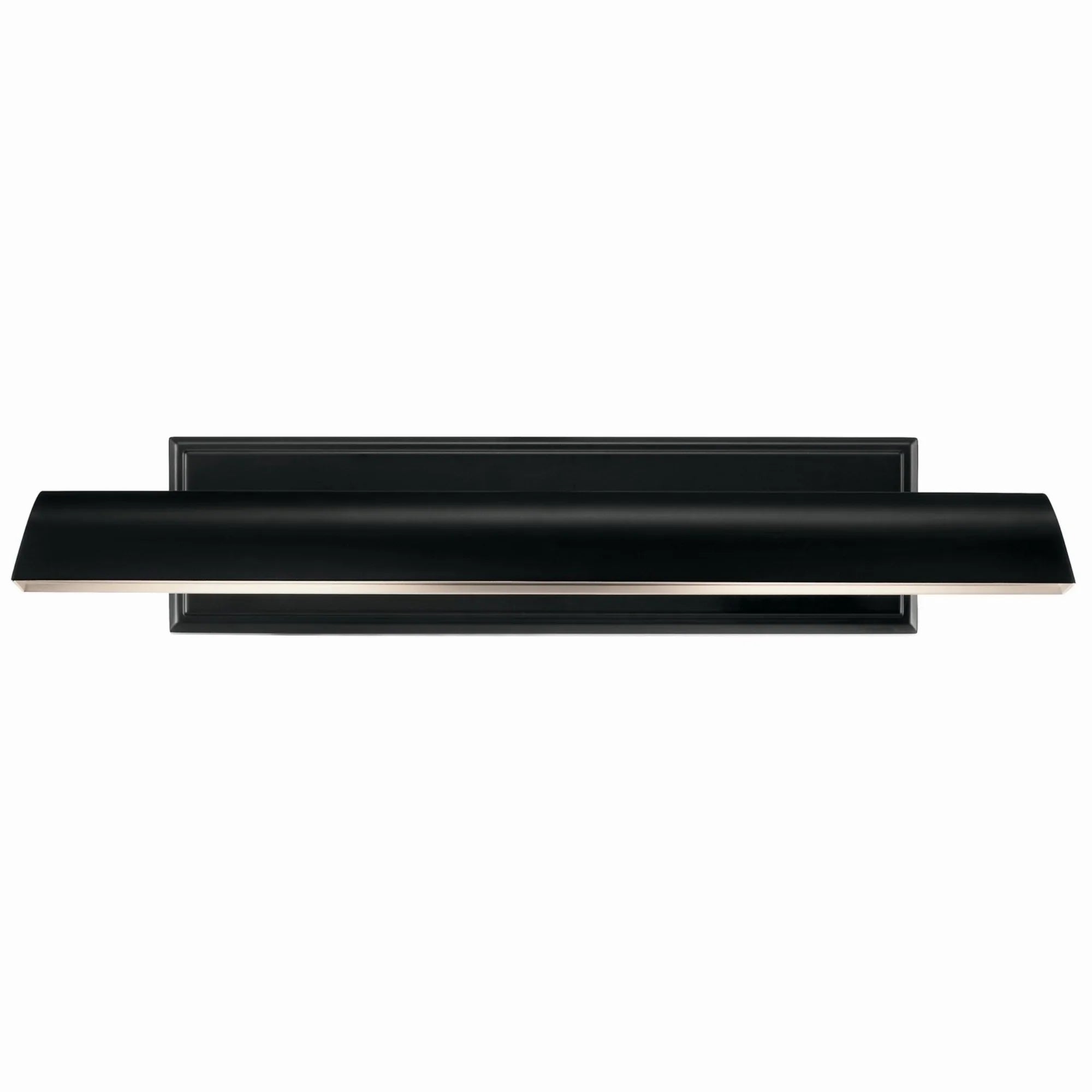 Carston 24" 2-Lights Picture Light, Black Finish - Bees Lighting
