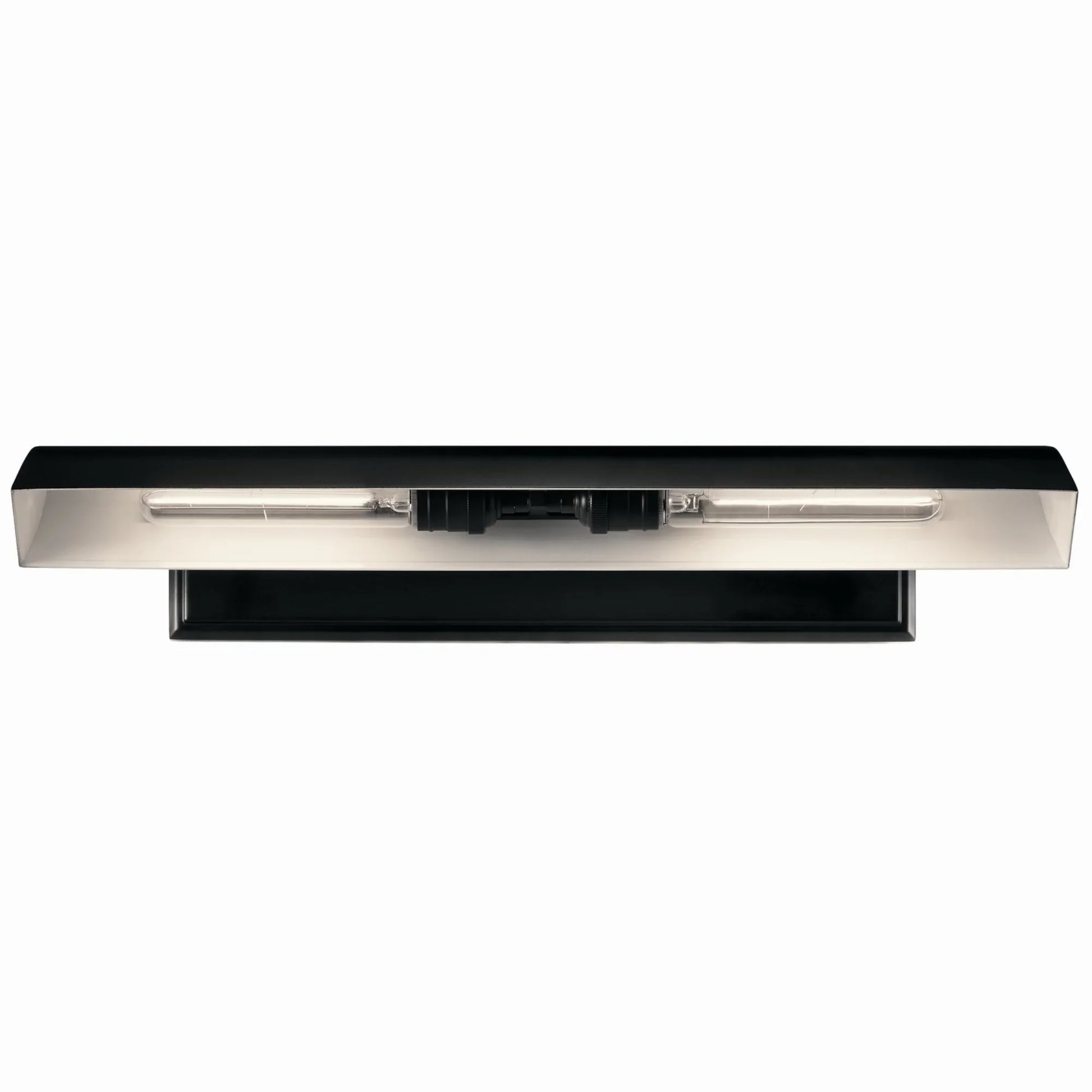 Carston 24" 2-Lights Picture Light, Black Finish - Bees Lighting