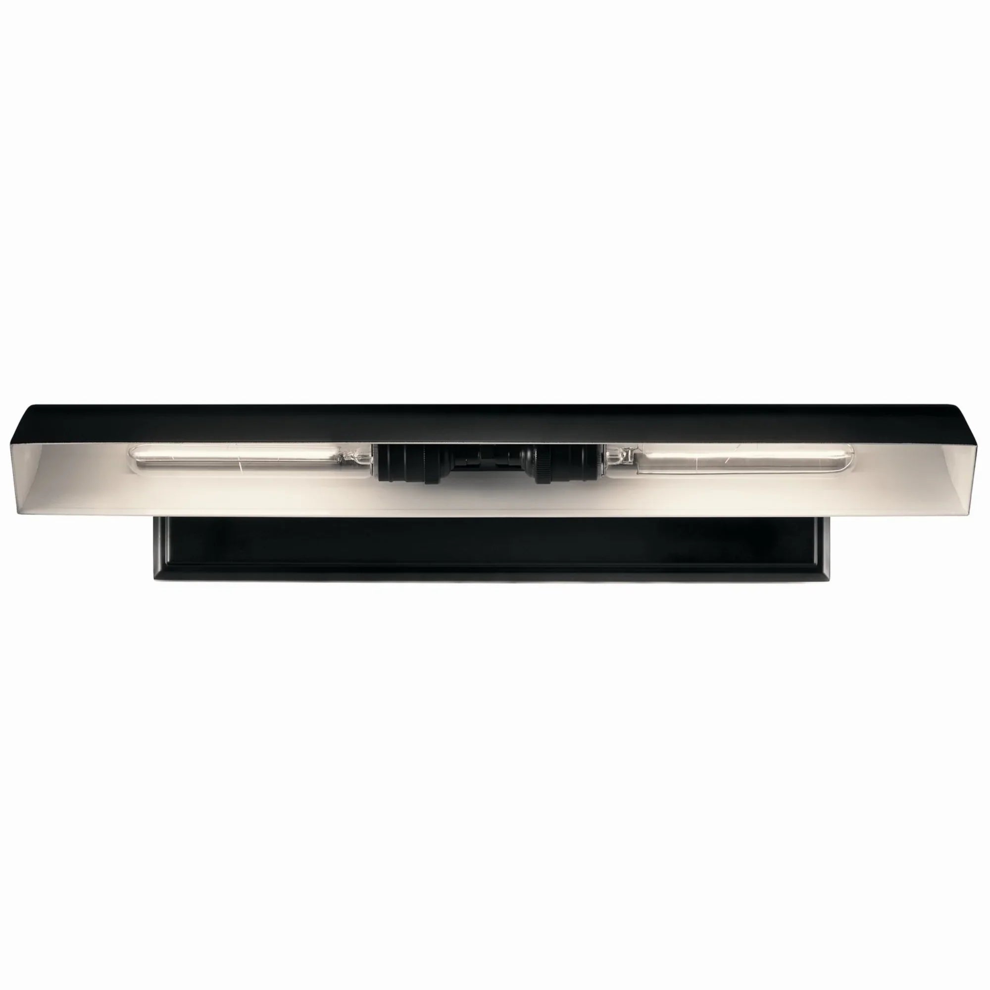 Carston 24" 2-Lights Picture Light, Black Finish - Bees Lighting