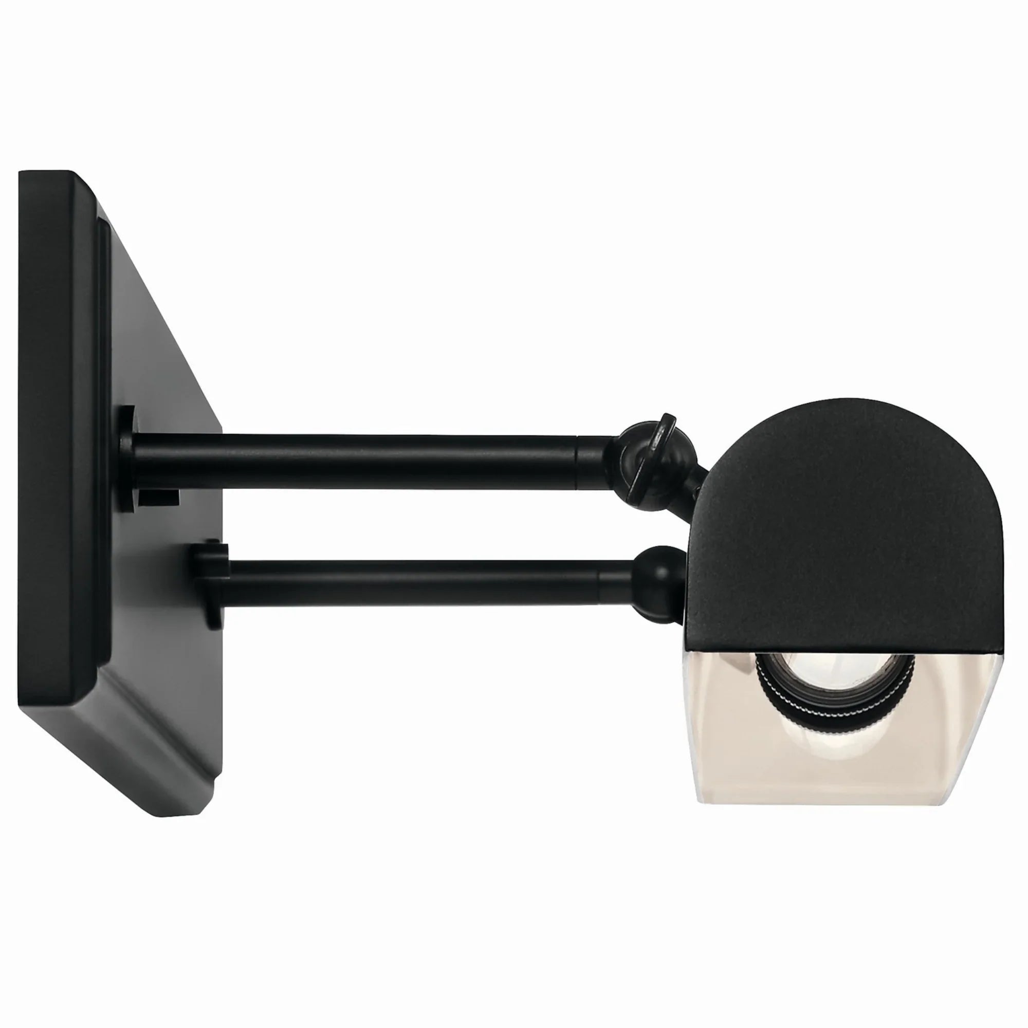 Carston 24" 2-Lights Picture Light, Black Finish - Bees Lighting