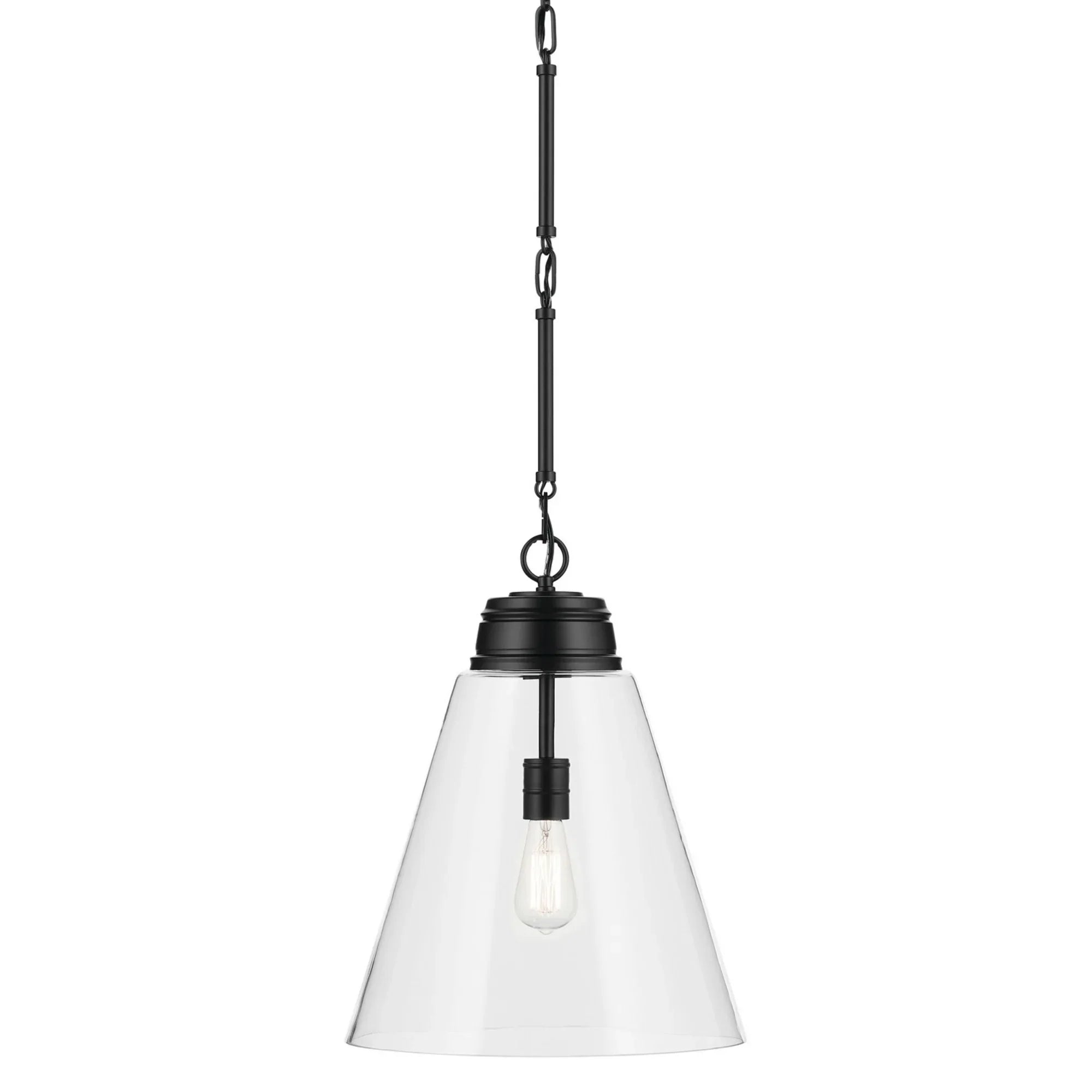 Marsailli 16" Pendant, Black Finish, Clear Glass - Bees Lighting
