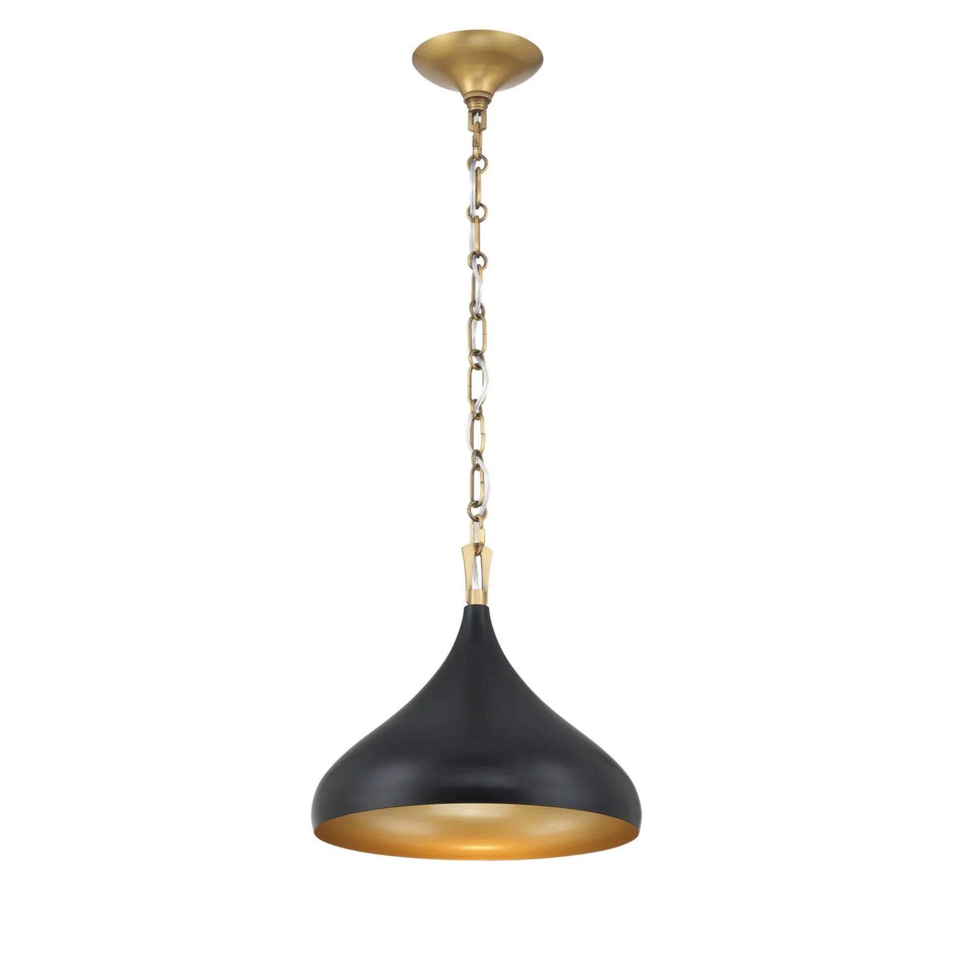 Cedar Lane 13" Pendant, Legacy Brass & Matte Coal Finish - Bees Lighting