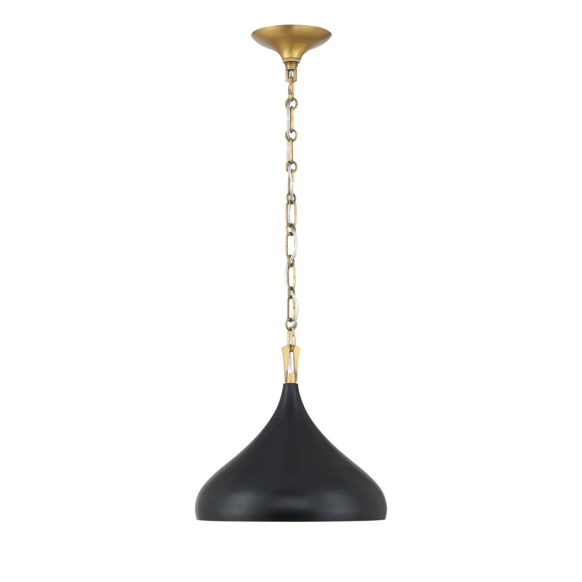Cedar Lane 13" Pendant, Legacy Brass & Matte Coal Finish - Bees Lighting