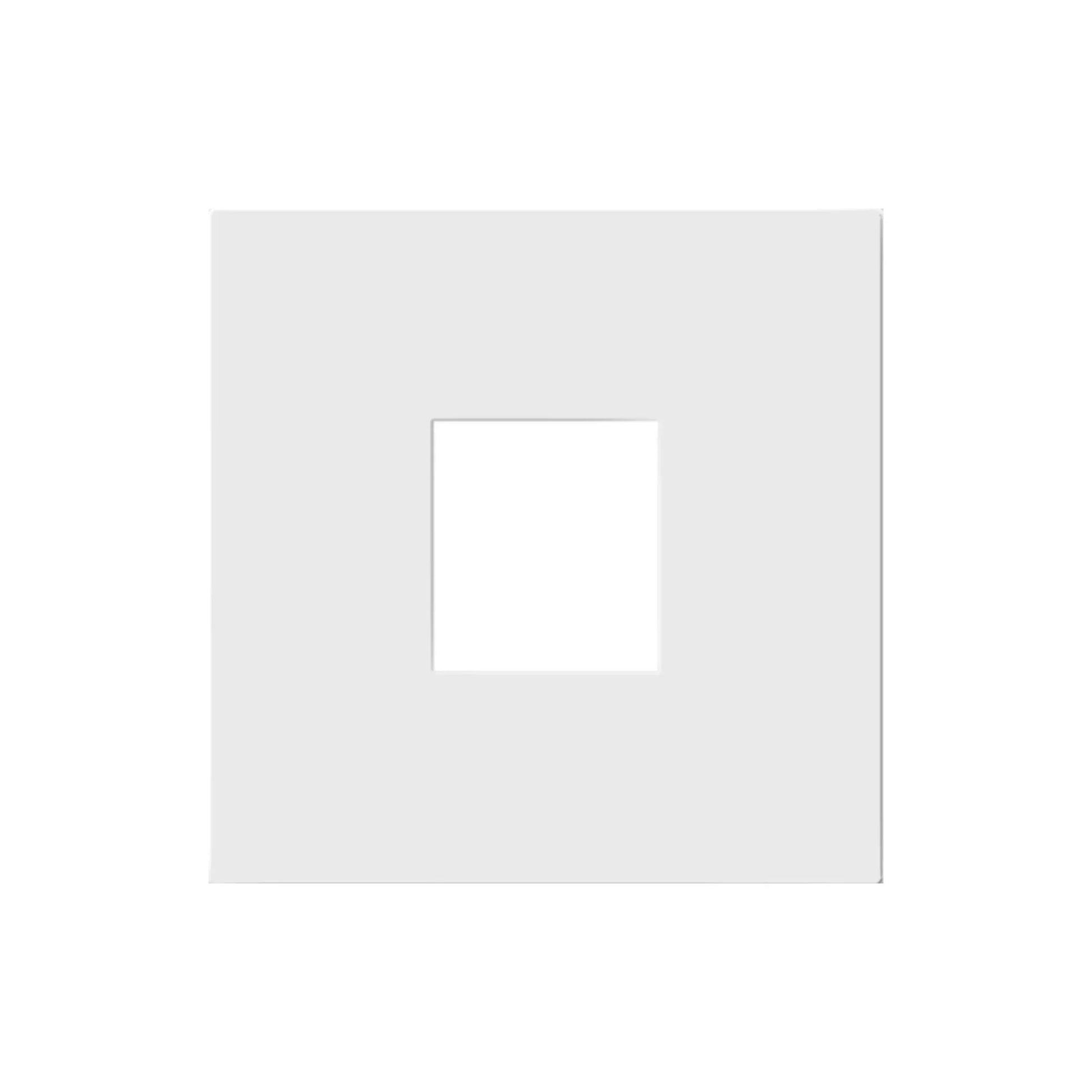 adorne 1-Port Keystone Wall Frame, White - Bees Lighting