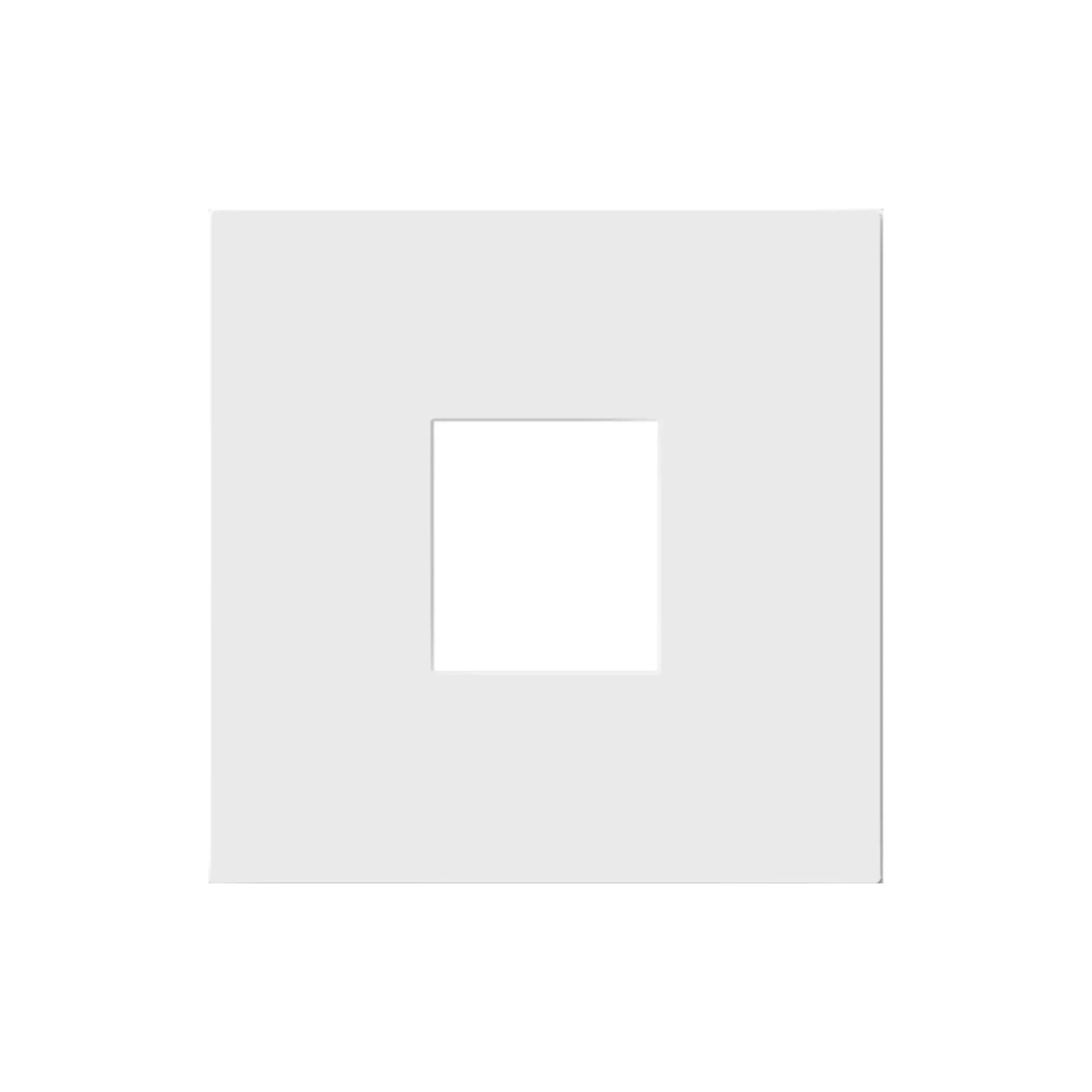 adorne 1-Port Keystone Wall Frame, White - Bees Lighting