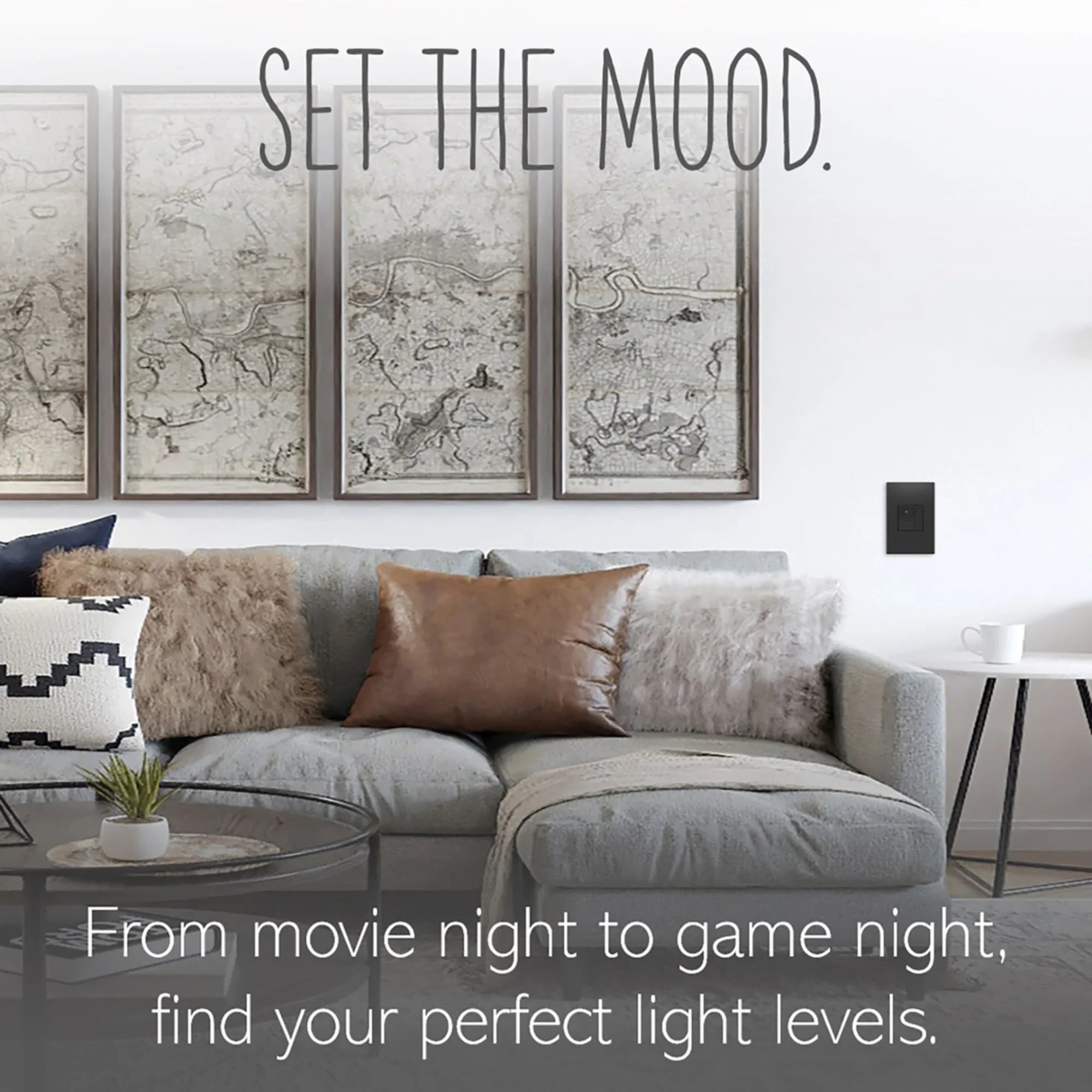 Adorne 0-10V Fluorescent/LED Paddle Dimmer, Single Pole/3-Way, Magnesium - Bees Lighting