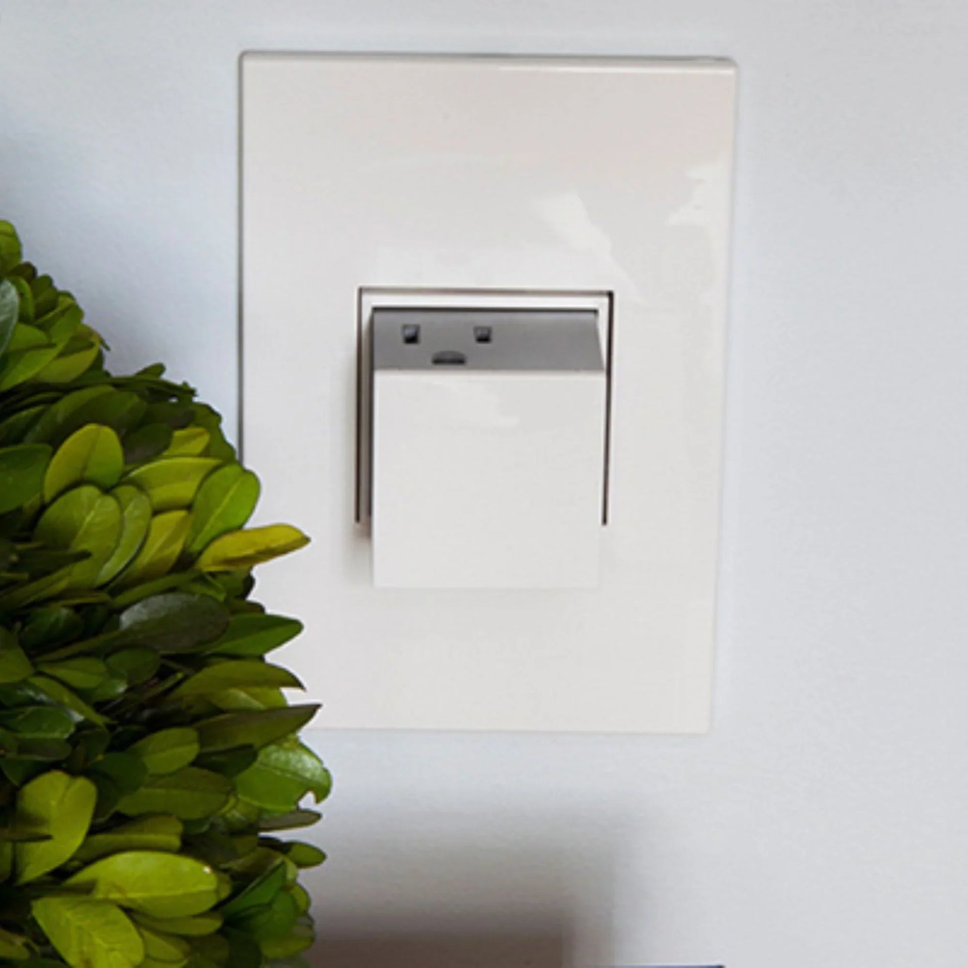 adorne 20A 1-Gang Pop-Out Duplex Outlet, White - Bees Lighting