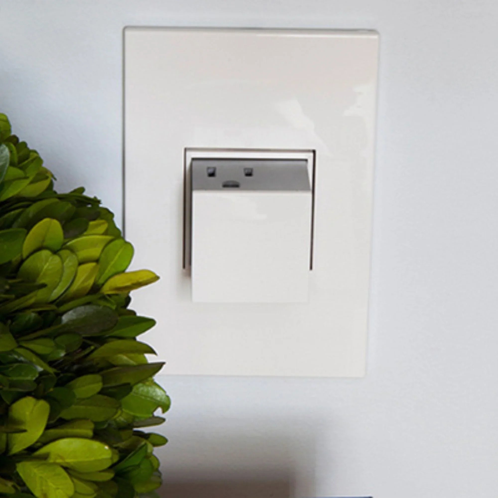 adorne 20A 1-Gang Pop-Out Duplex Outlet, White - Bees Lighting