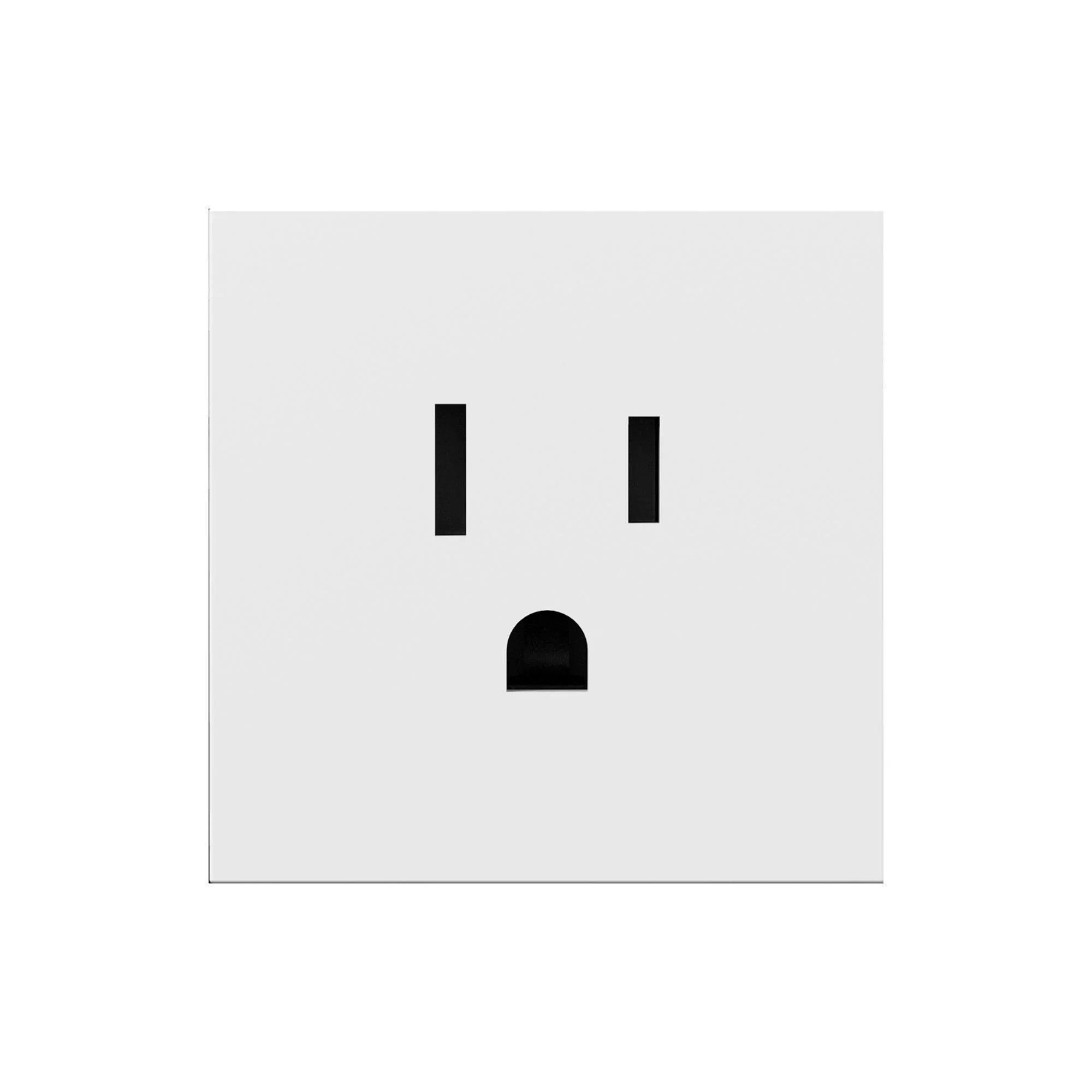 adorne 15A Single Tamper-Resistant Outlet, White - Bees Lighting