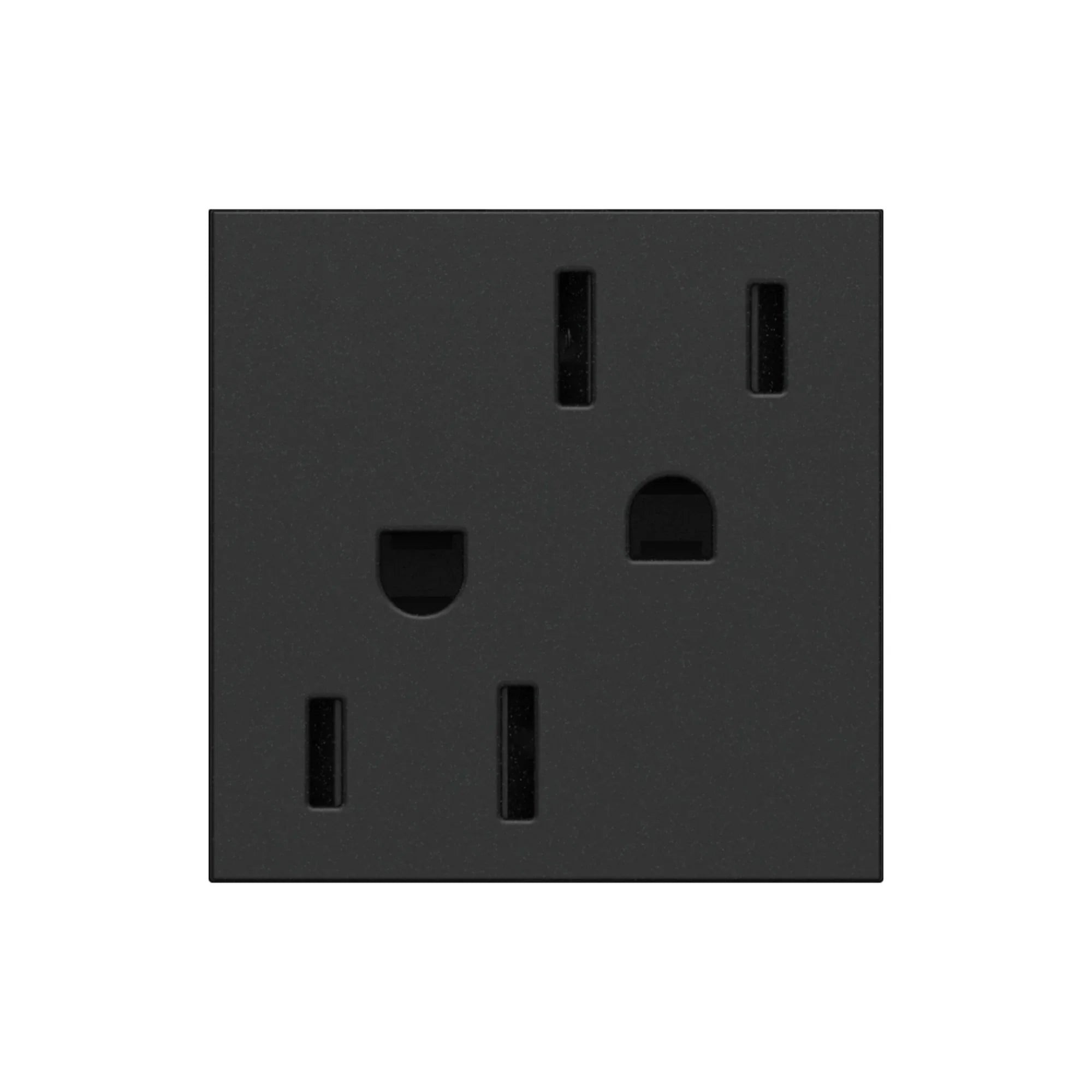adorne 15A Dual Tamper-Resistant Outlet, Graphite - Bees Lighting