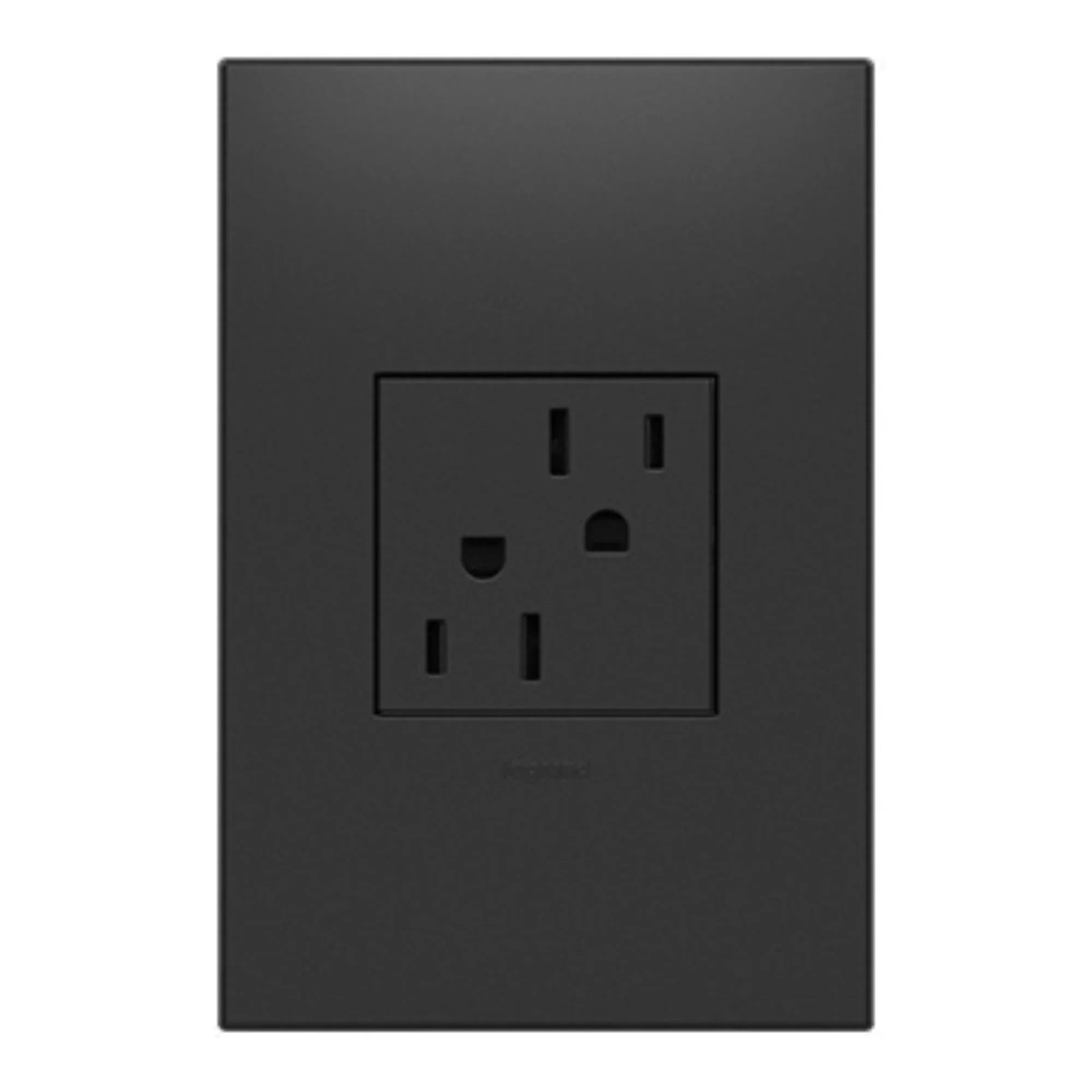 adorne 15A Dual Tamper-Resistant Outlet, Graphite - Bees Lighting