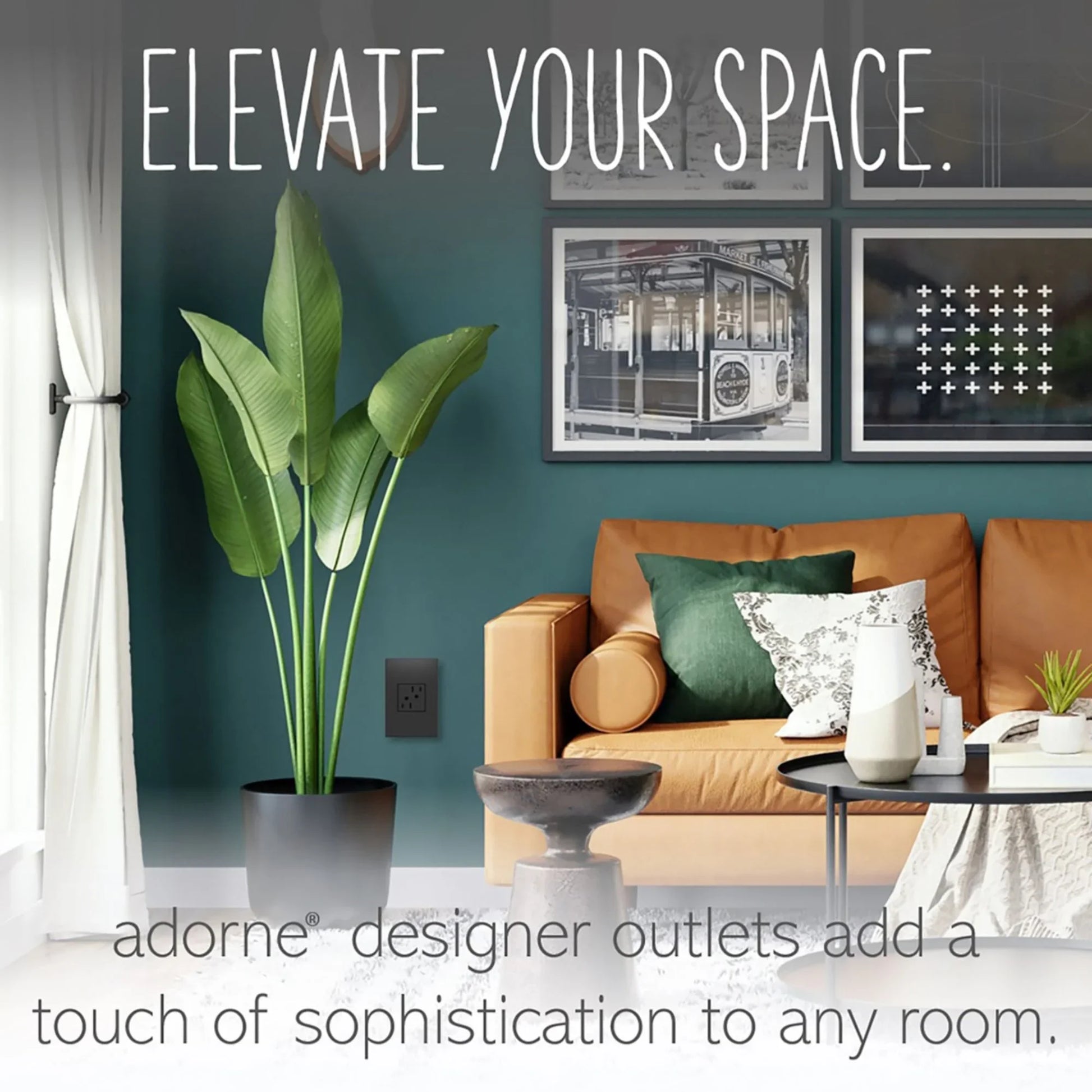 adorne 15A Dual Tamper-Resistant Outlet, Graphite - Bees Lighting