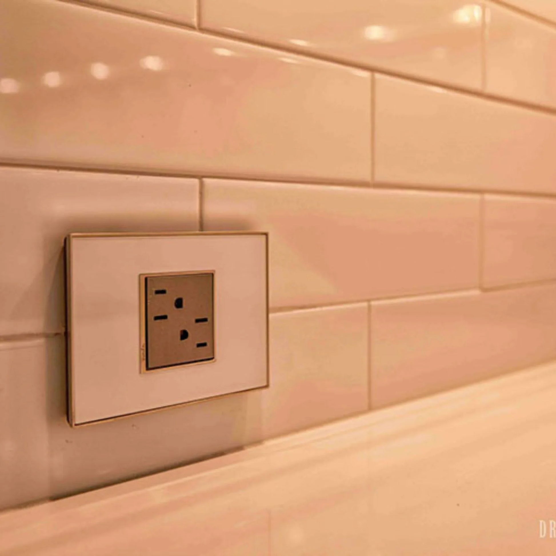 adorne 15A Dual Tamper-Resistant Outlet, Magnesium - Bees Lighting