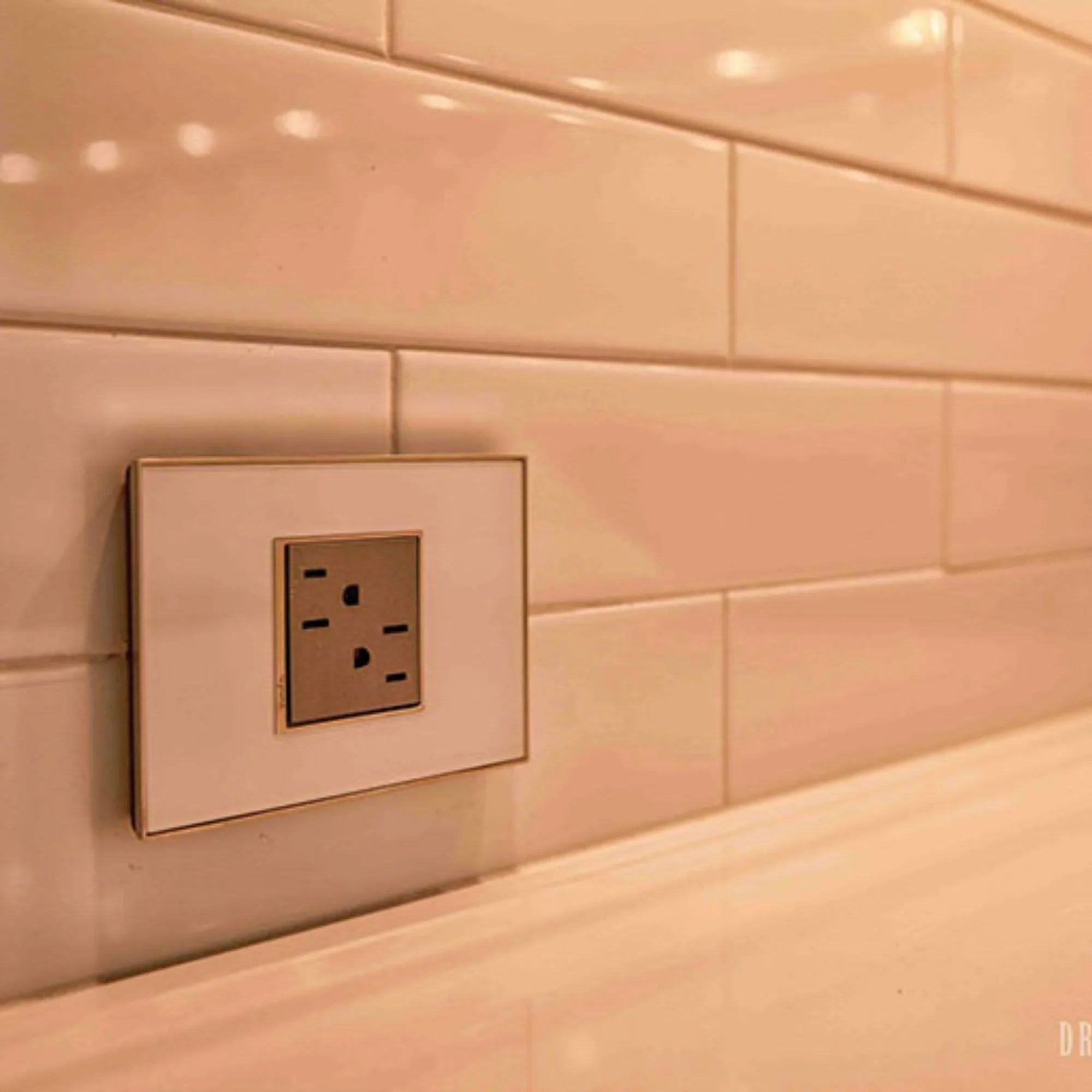 adorne 15A Dual Tamper-Resistant Outlet, Magnesium - Bees Lighting