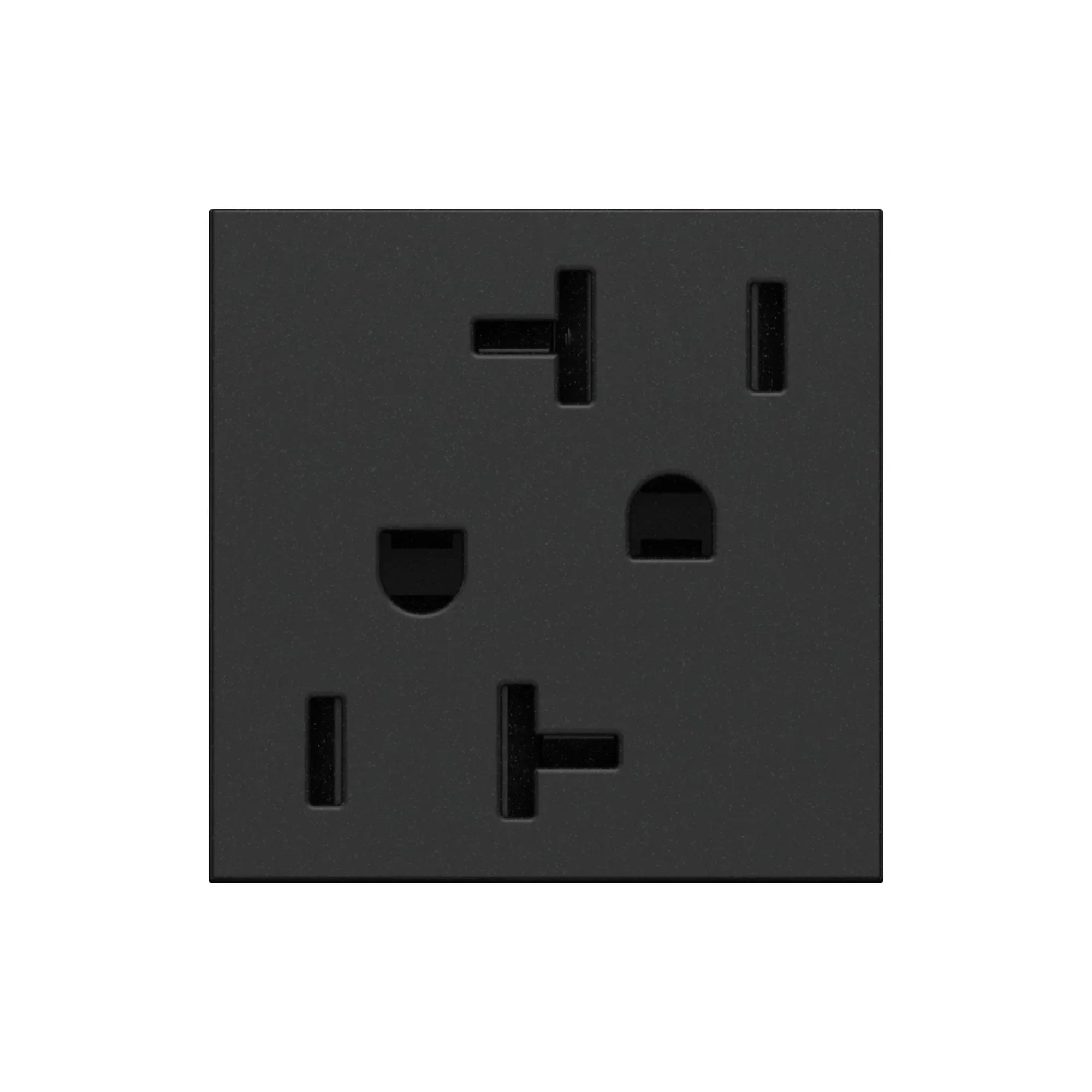 Legrand adorne 20A Dual Tamper-Resistant Outlet - Bees Lighting