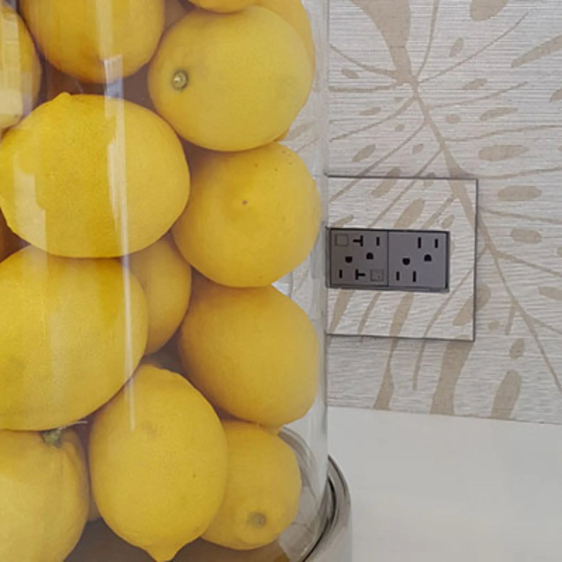 adorne 20A Dual Tamper-Resistant Outlet, Magnesium - Bees Lighting