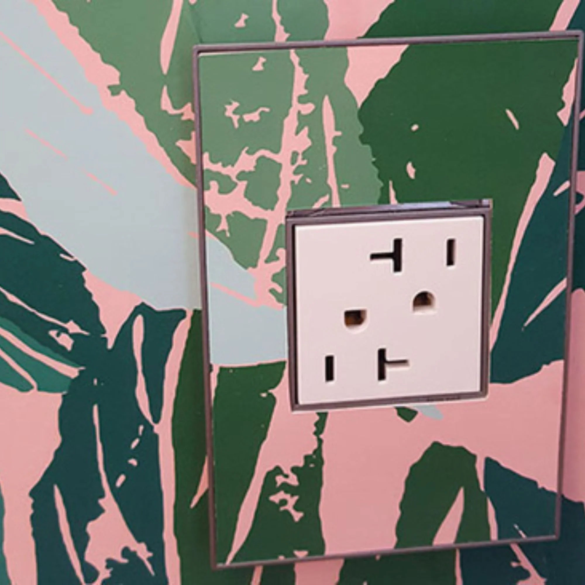 adorne 20A Dual Tamper-Resistant Outlet, White - Bees Lighting