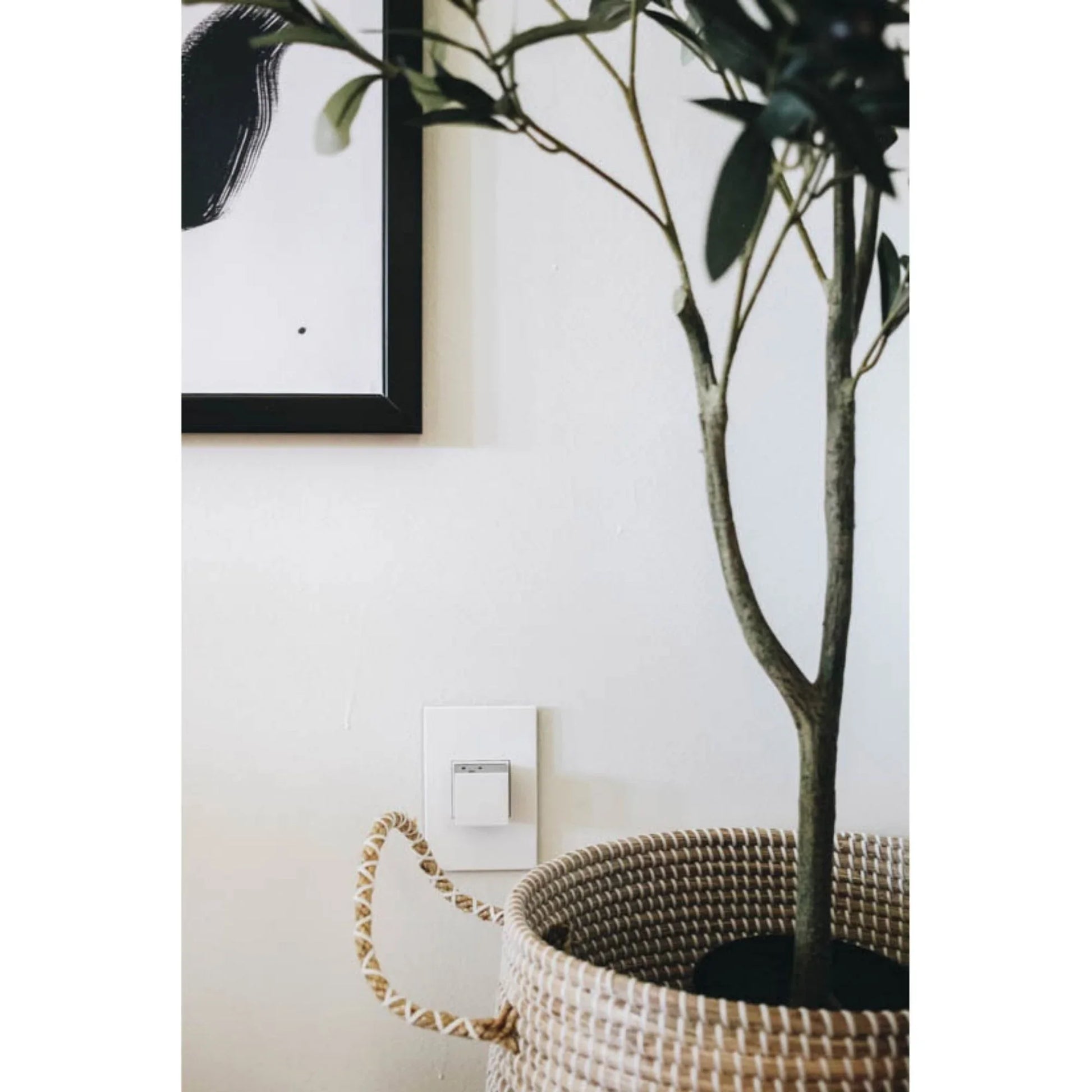 adorne 1-Gang Screwless Wall Plate, Glossy White on White - Bees Lighting