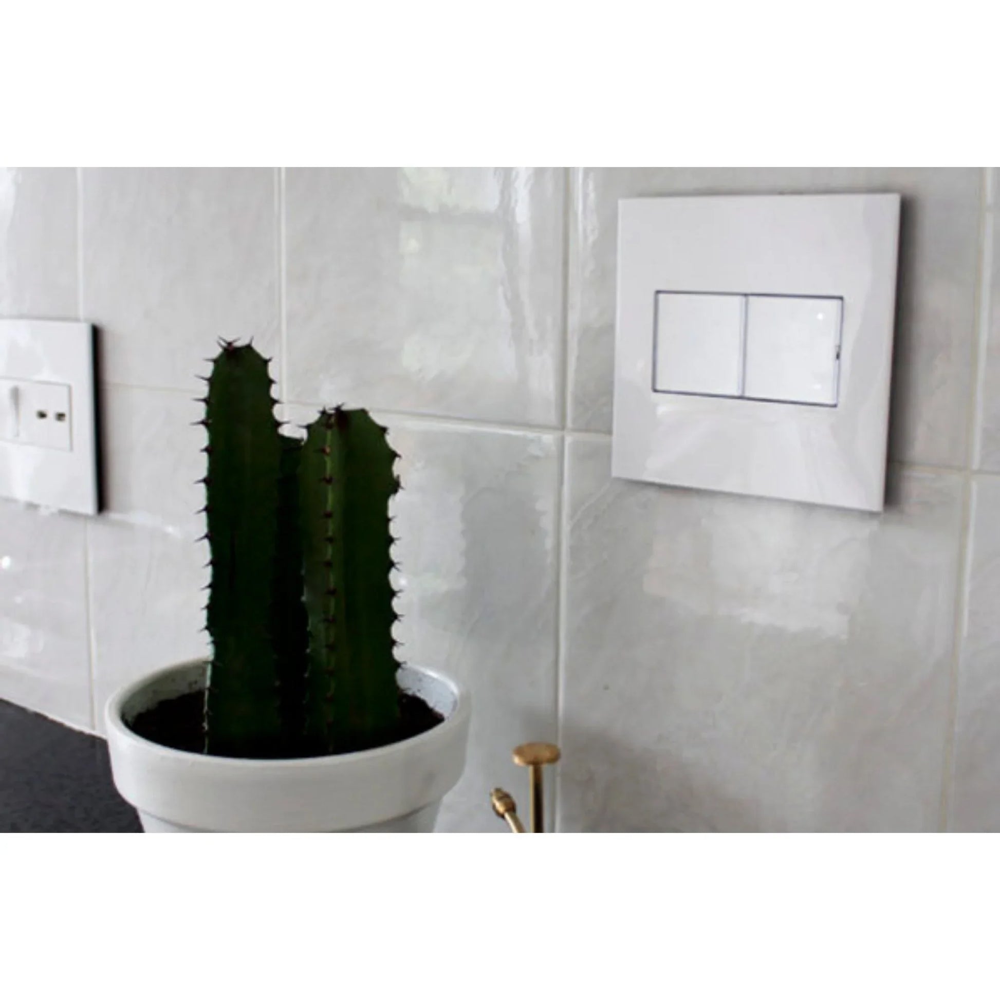 adorne 2-Gang Screwless Wall Plate, Glossy White on White - Bees Lighting