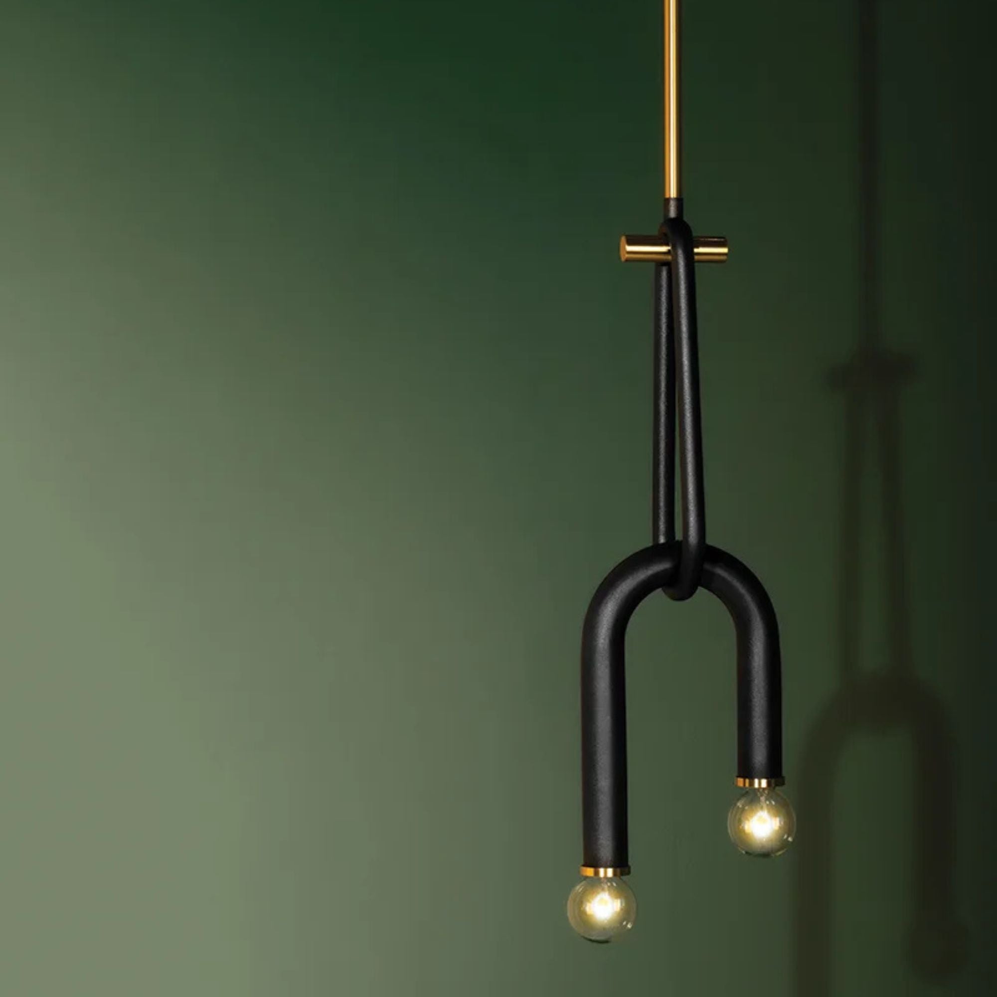 Whit 20" 2-Light Pendant, Aged Brass/Black Finish
