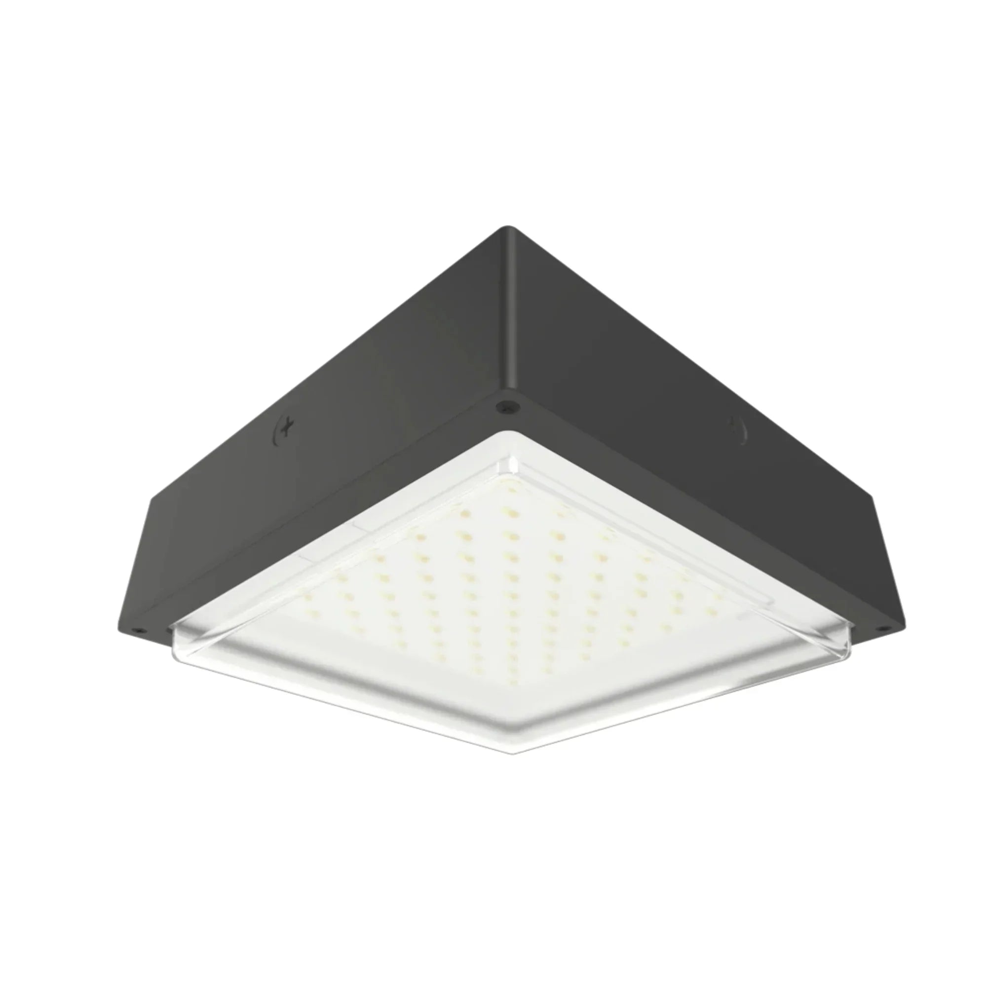 RAB VAN34 Field Adjustable Canopy Light - Bees Lighting
