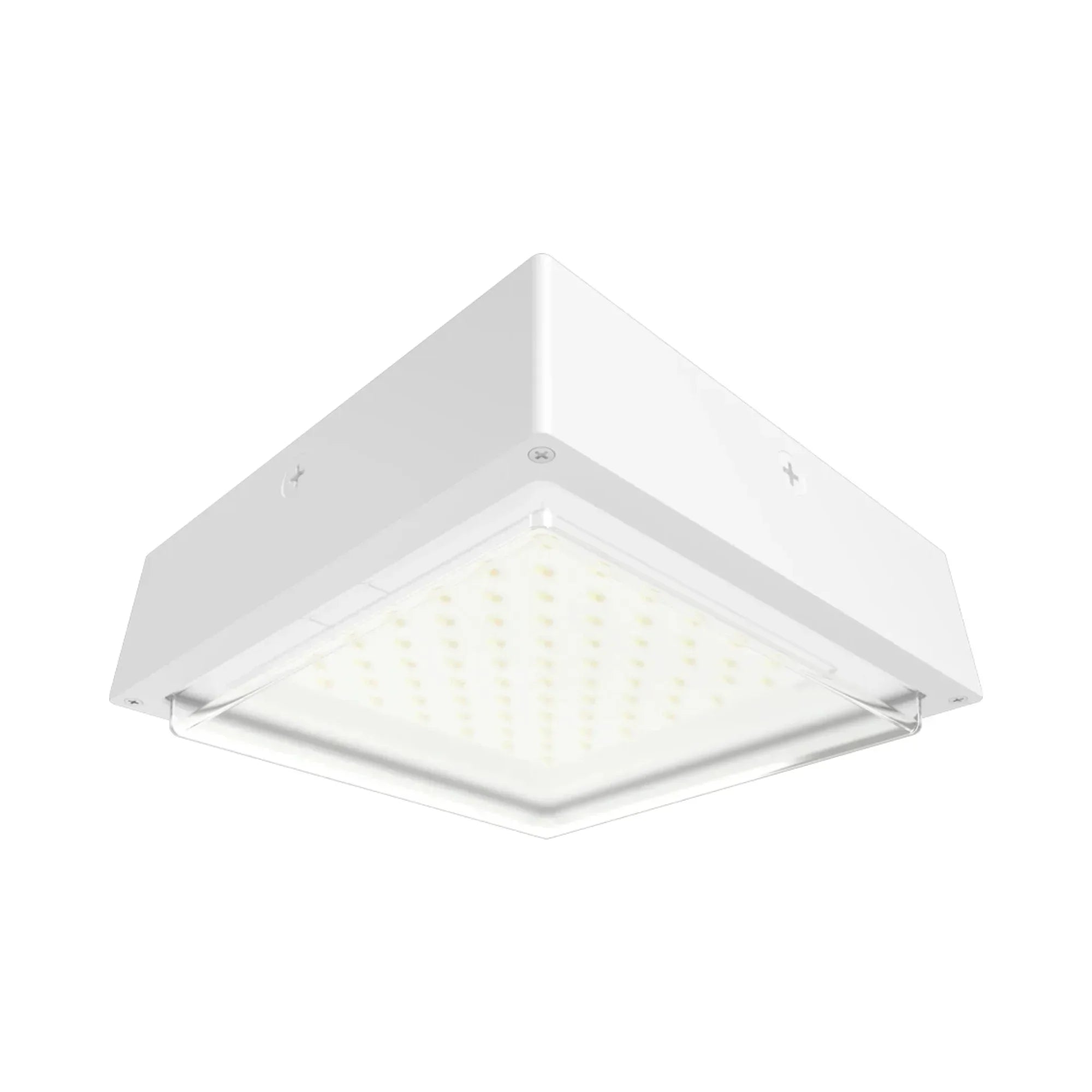 RAB VAN34 Field Adjustable Canopy Light - Bees Lighting