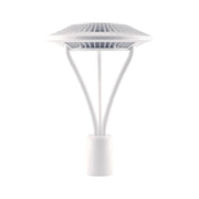 RAB ALED5T LED Post Top Area Light - Bees Lighting