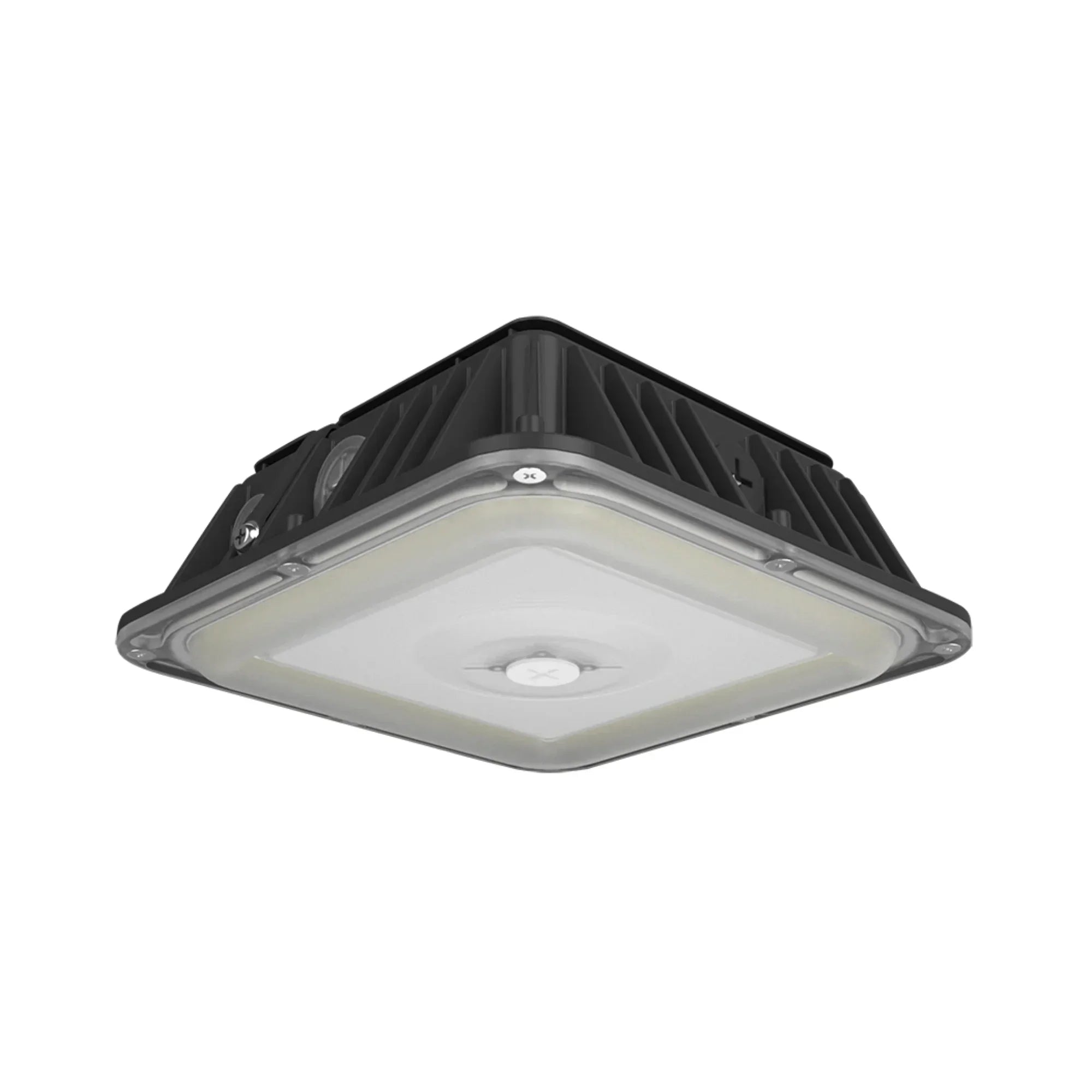 RAB VAN17 3-Way Adjustable Canopy Light - Bees Lighting