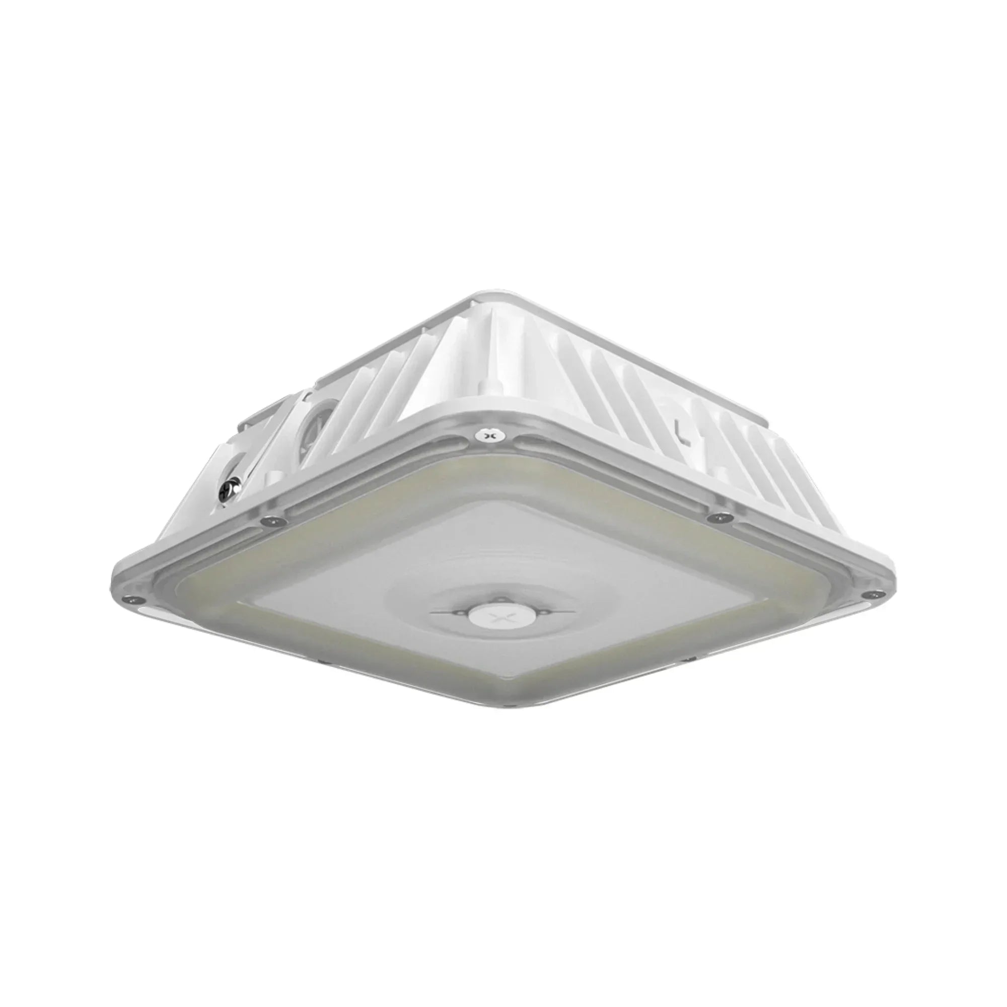RAB VAN17 3-Way Adjustable Canopy Light - Bees Lighting