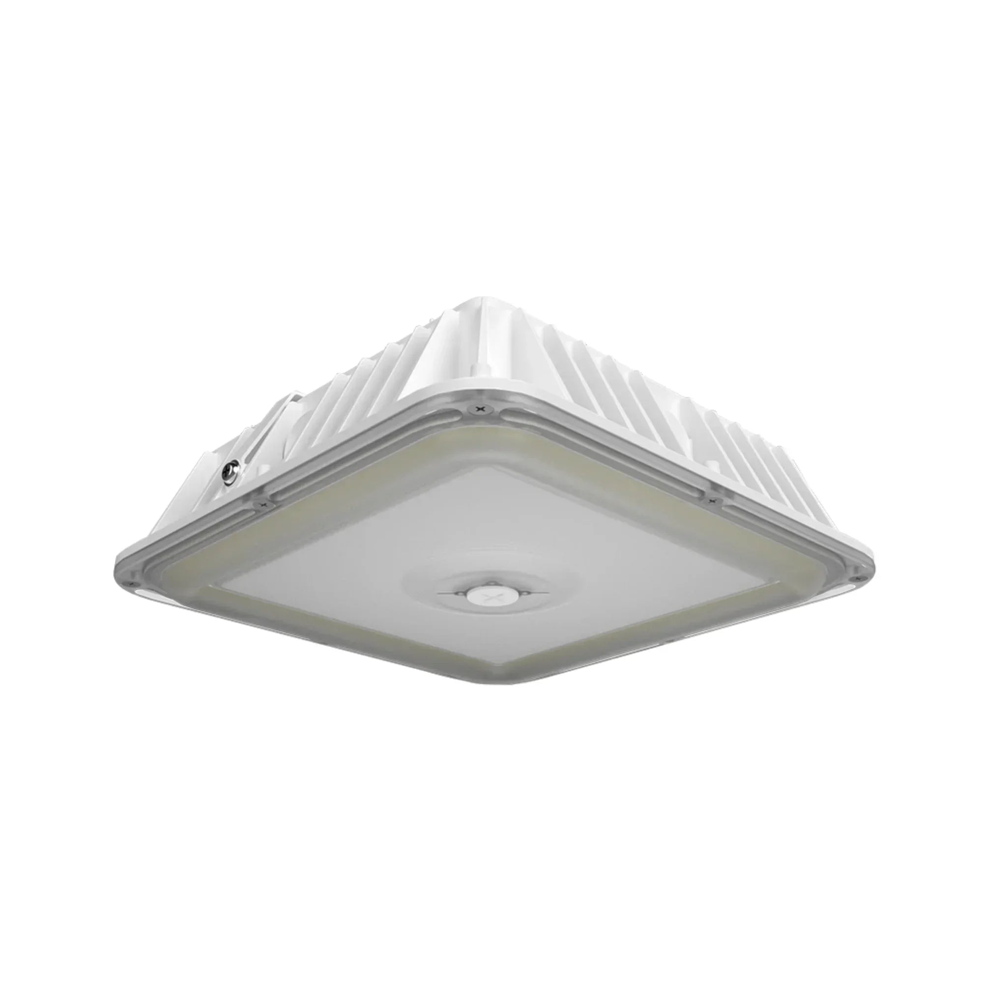 RAB VAN17 3-Way Adjustable Canopy Light - Bees Lighting