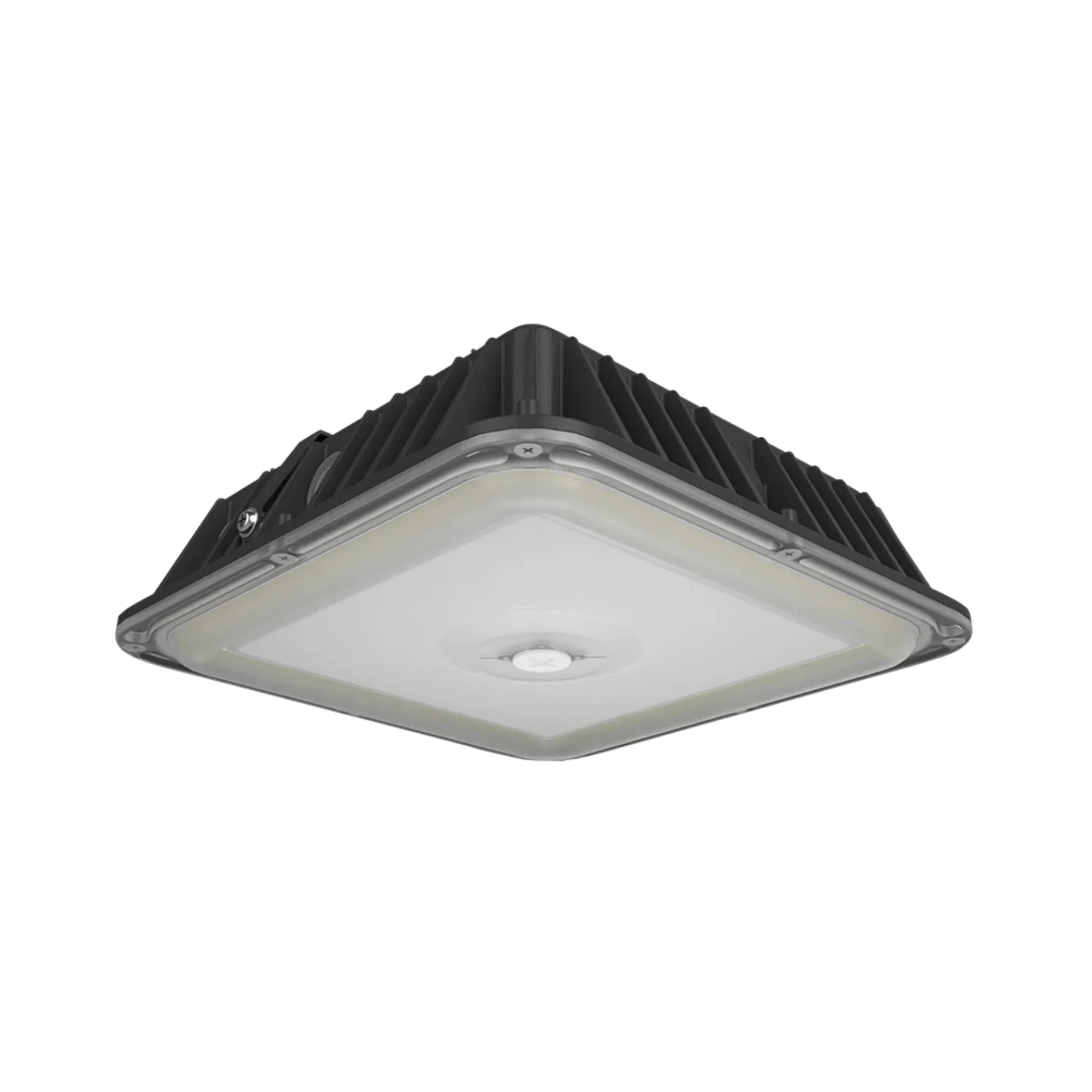 RAB VAN17 3-Way Adjustable Canopy Light - Bees Lighting