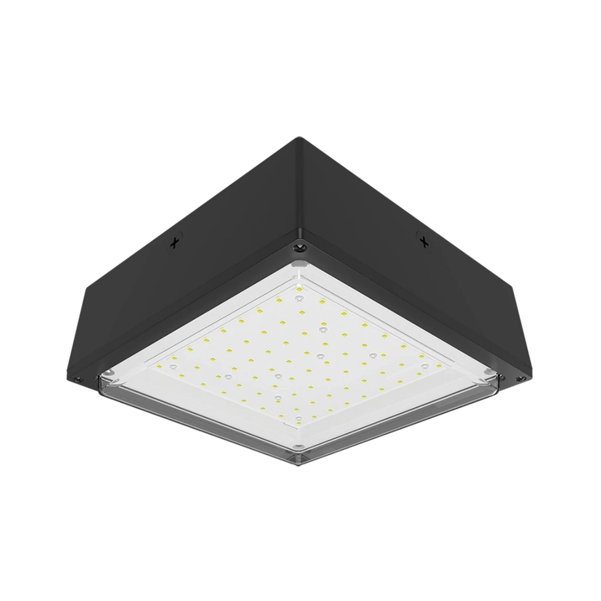RAB VANLED LED Canopy Light - Bees Lighting