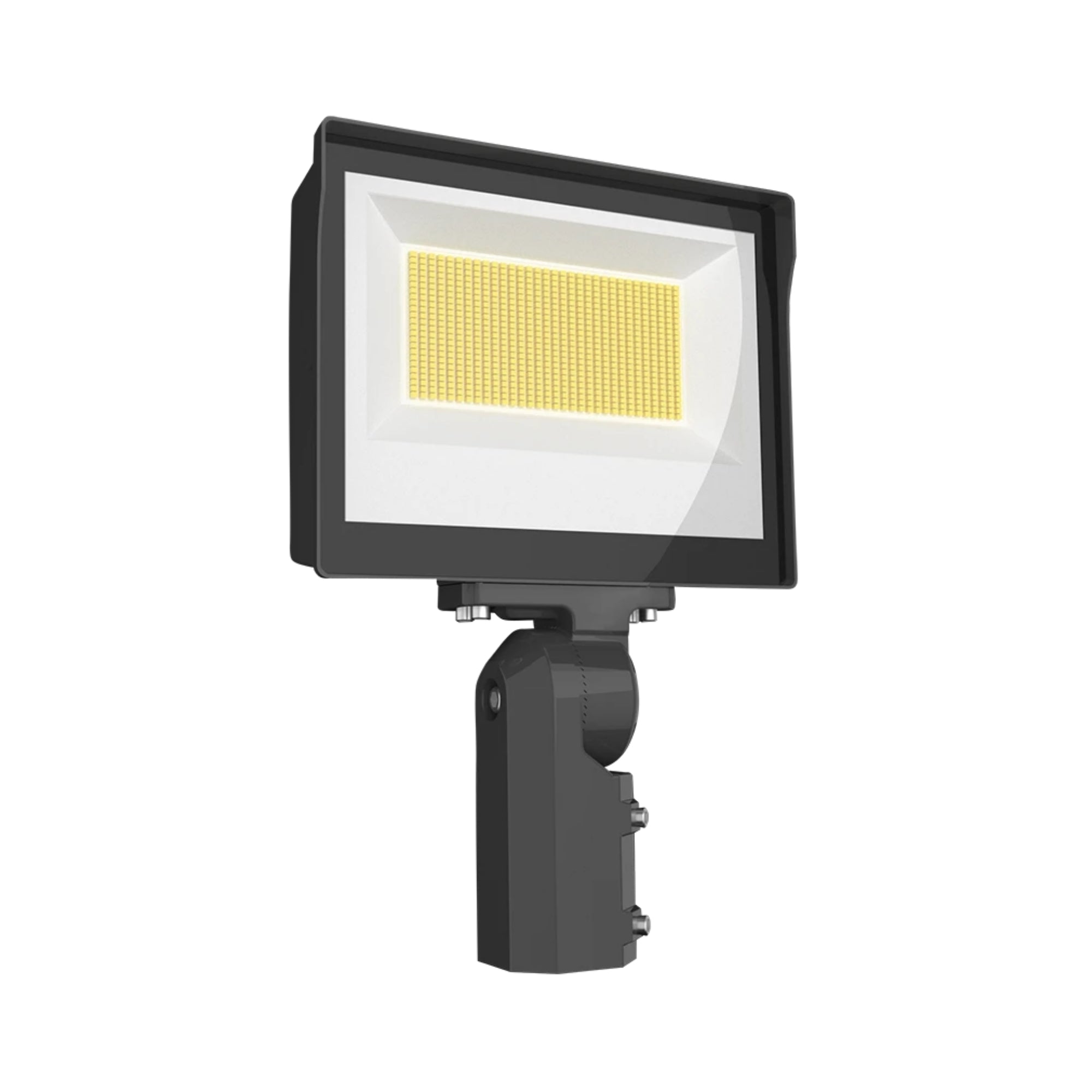RAB X17 Flood Light, 2-Way Field-Adjustable, Slipfitter Mount - Bees Lighting