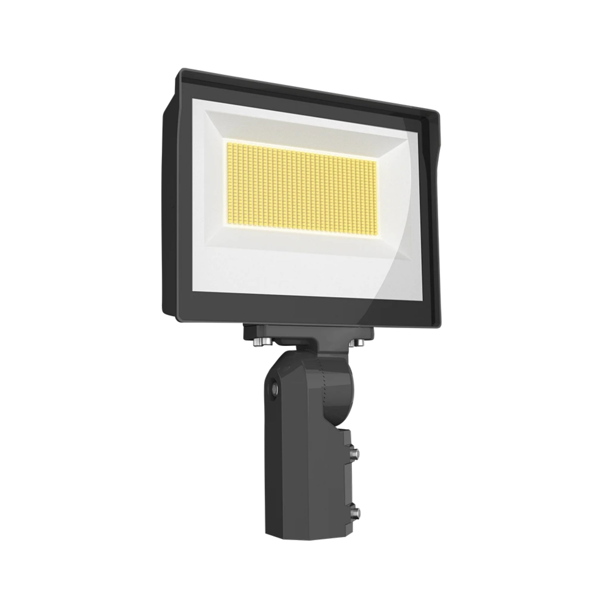RAB X17 Flood Light, 2-Way Field-Adjustable, Slipfitter Mount - Bees Lighting