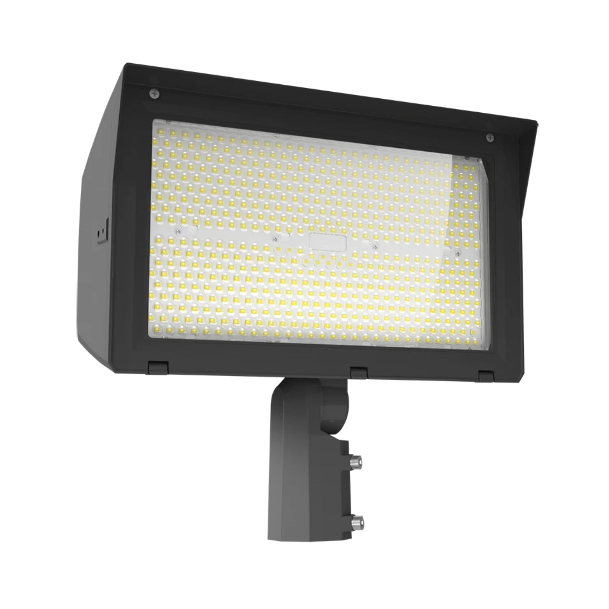 RAB X22 5-Way Selectable Flood Light - Bees Lighting