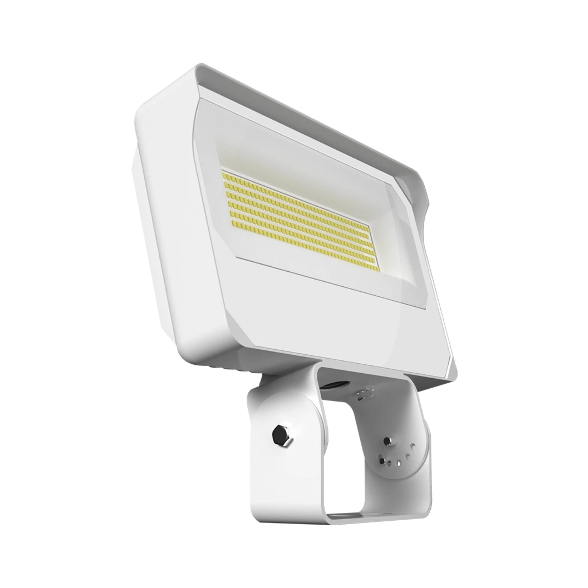 RAB X34 Field Adjustable Flood Light, Trunnion Mount - Bees Lighting