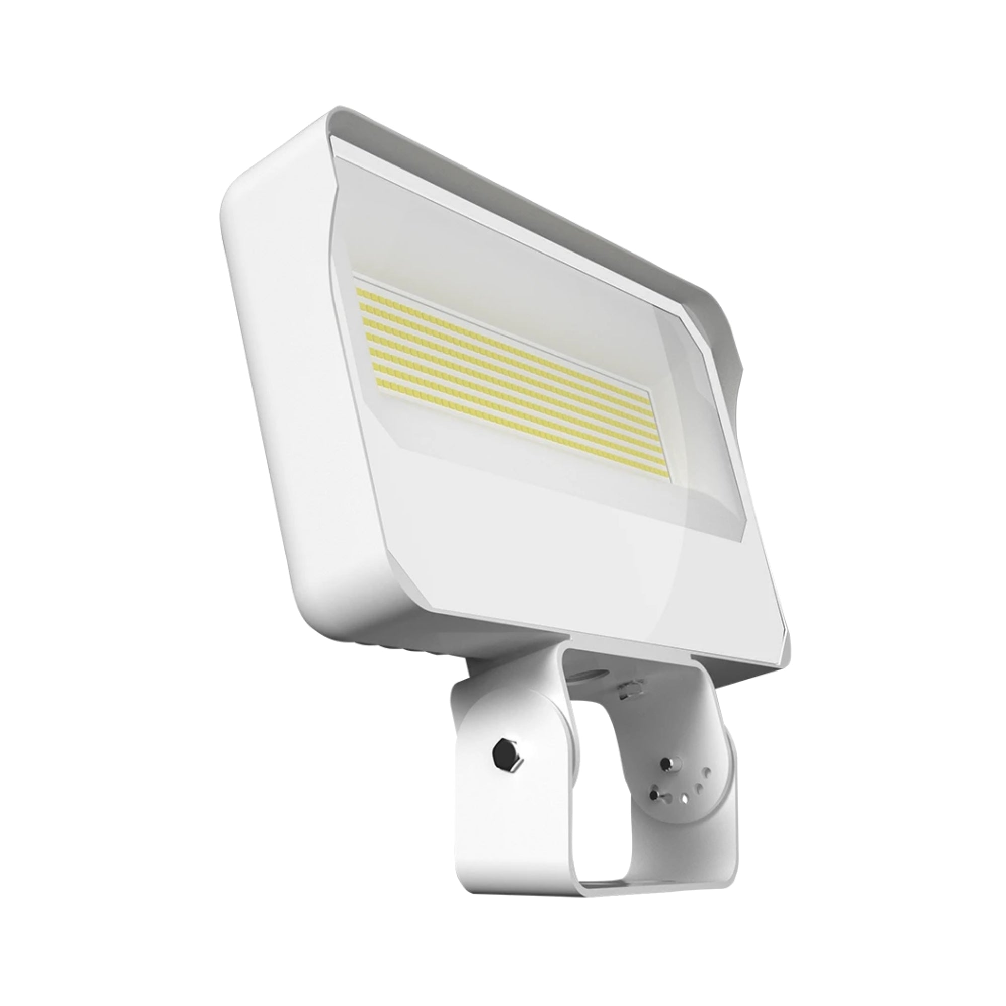 RAB X34 Field Adjustable Flood Light, Trunnion Mount - Bees Lighting