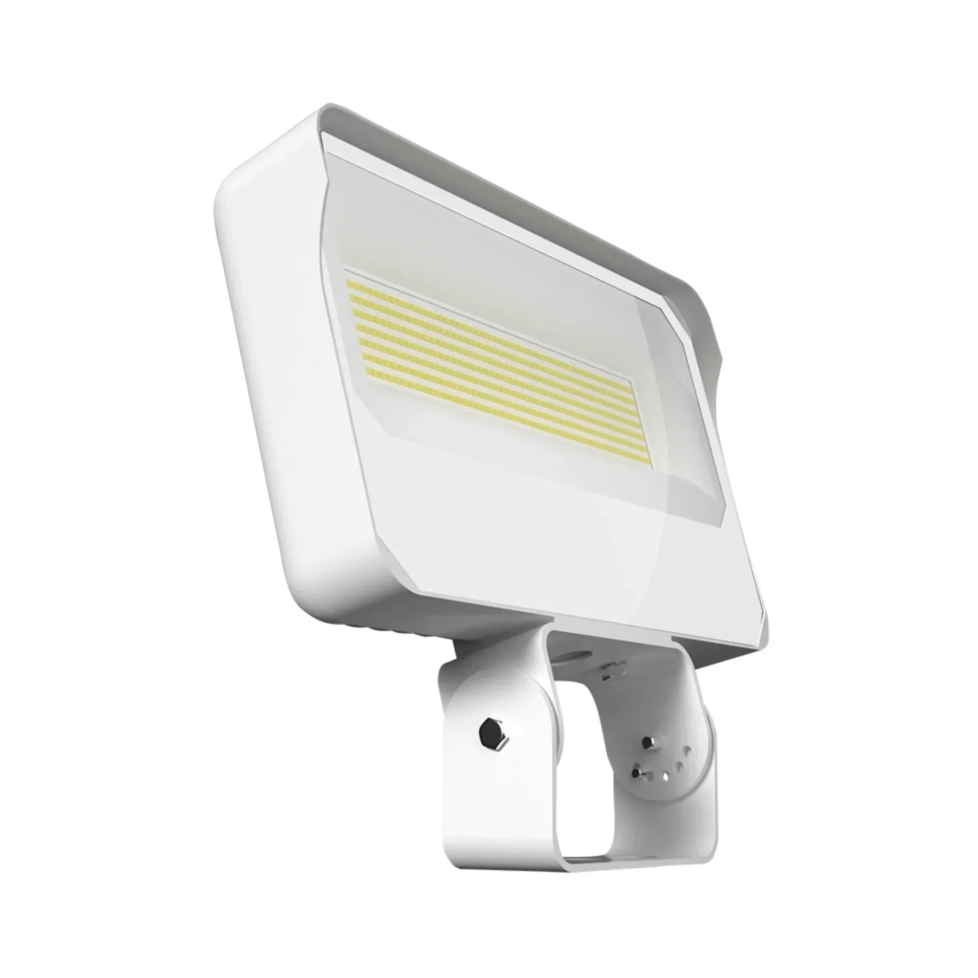 RAB X34 Field Adjustable Flood Light, Trunnion Mount - Bees Lighting