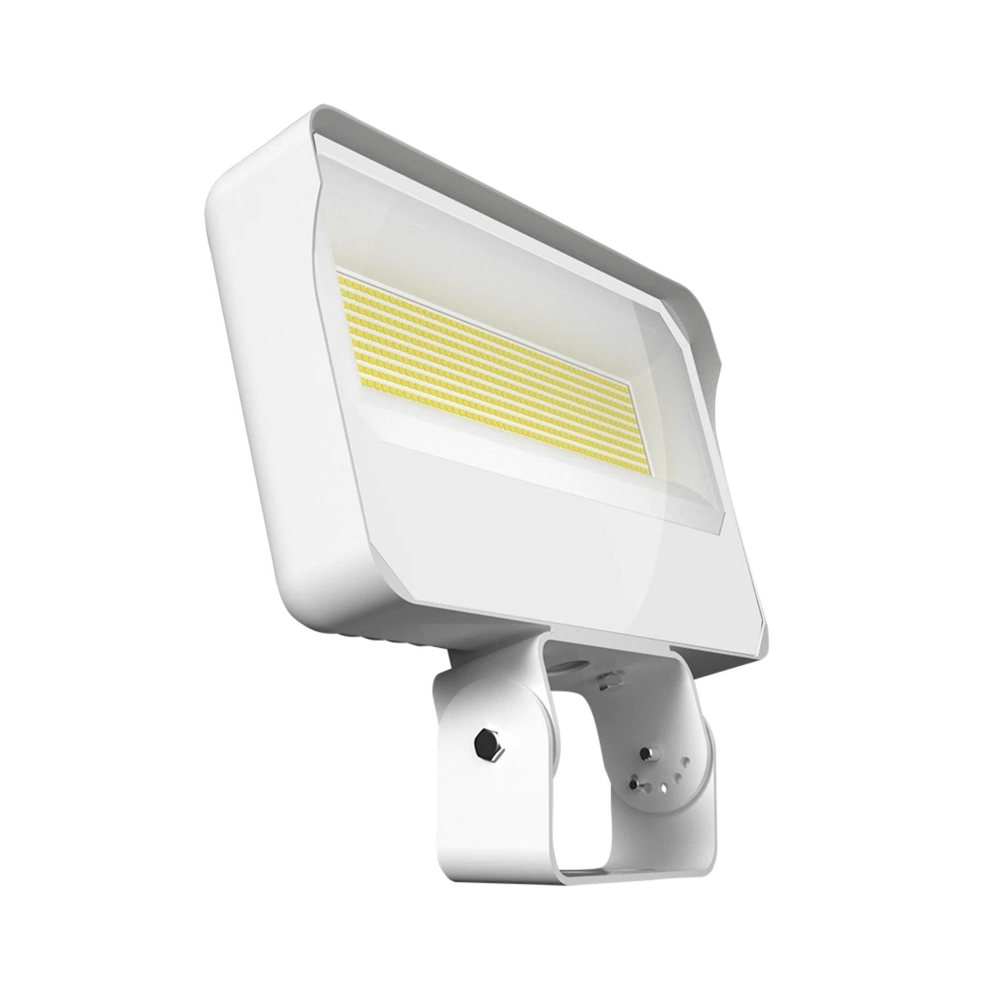 RAB X34 Field Adjustable Flood Light, Trunnion Mount - Bees Lighting