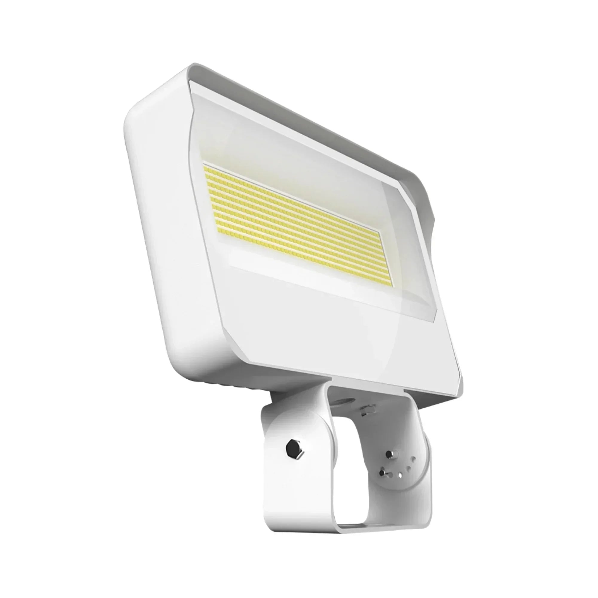 RAB X34 Field Adjustable Flood Light, Trunnion Mount - Bees Lighting