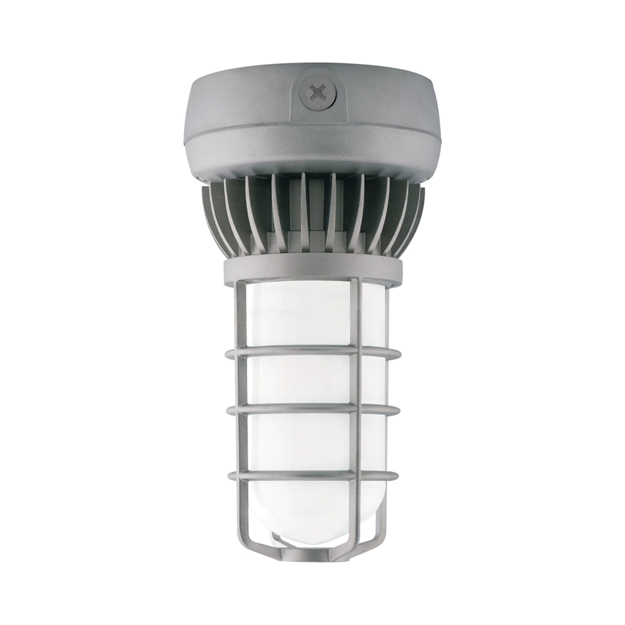 RAB Jelly Jar Vapor Tight Light
