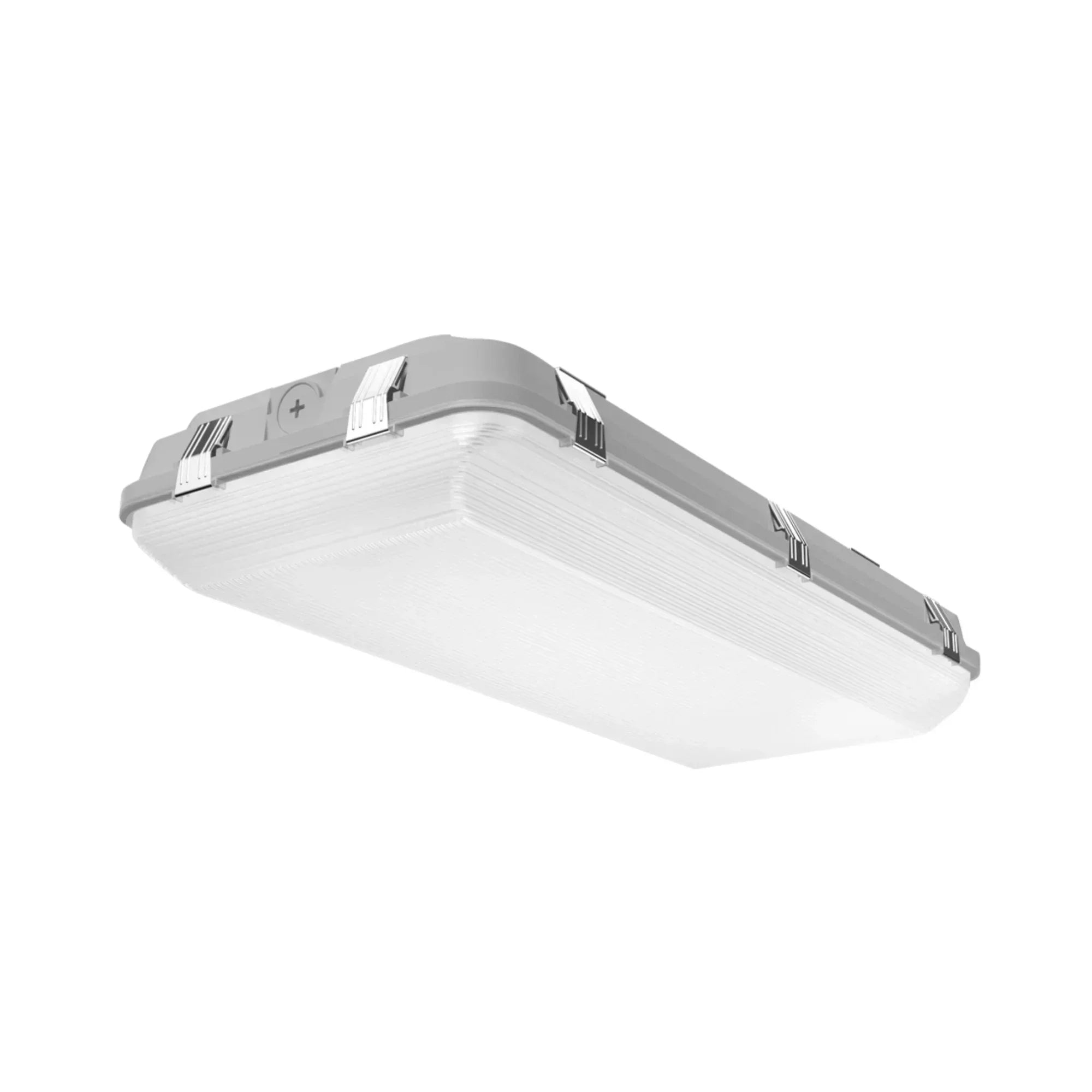 RAB WHALE Field Adjustable Washdown - Bees Lighting