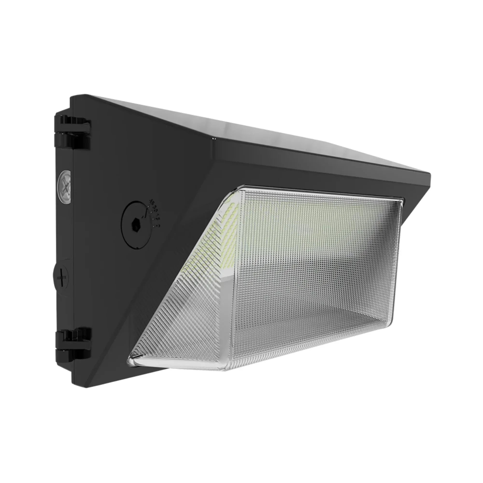 RAB W22 Adjustable Throw Wall Pack - Bees Lighting