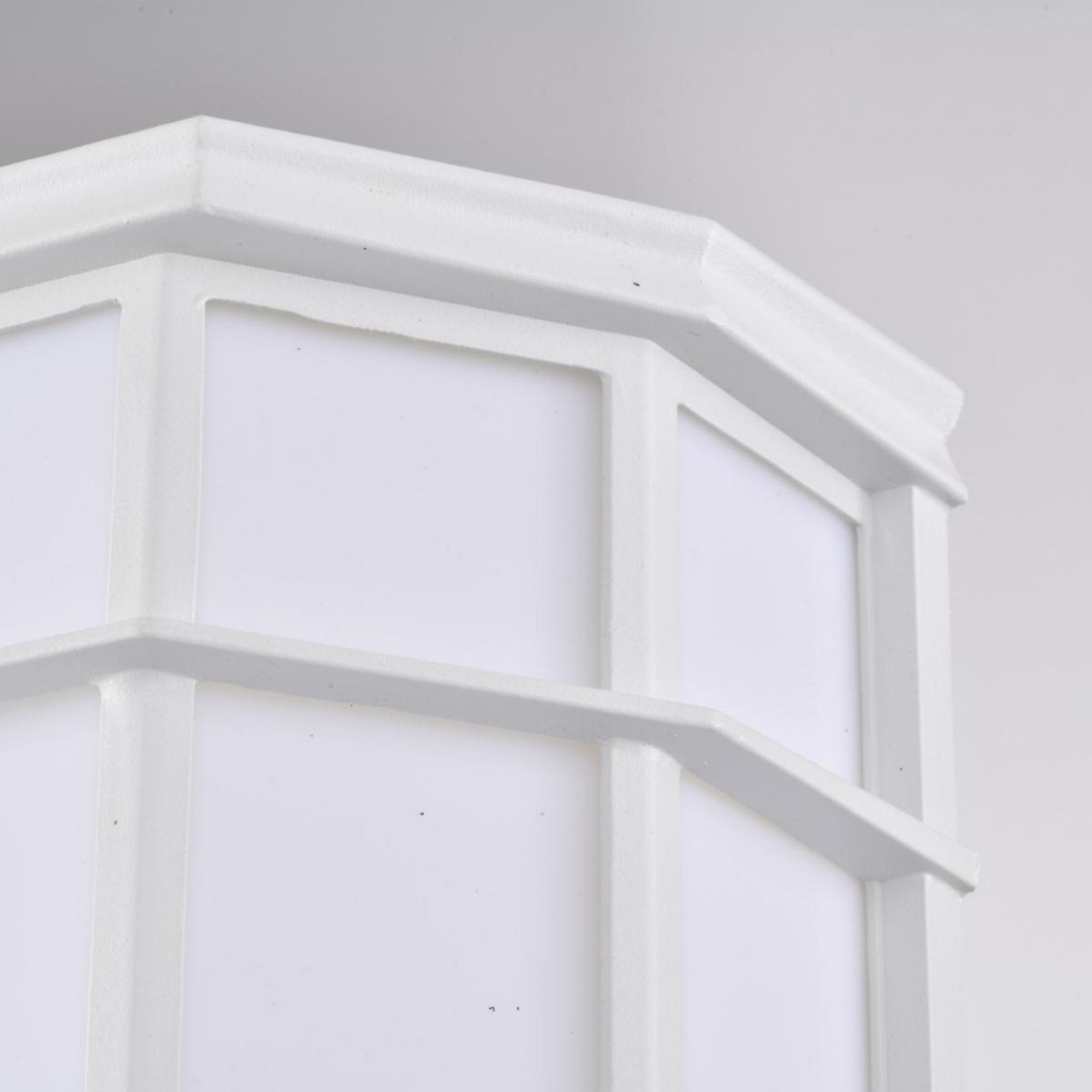 10" LED Cage Wall Lantern, 600 Lm, 3000K, White - Bees Lighting