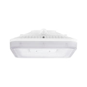LEDVANCE Sylvania Dual Selectable Square Canopy/Garage Light - Bees Lighting
