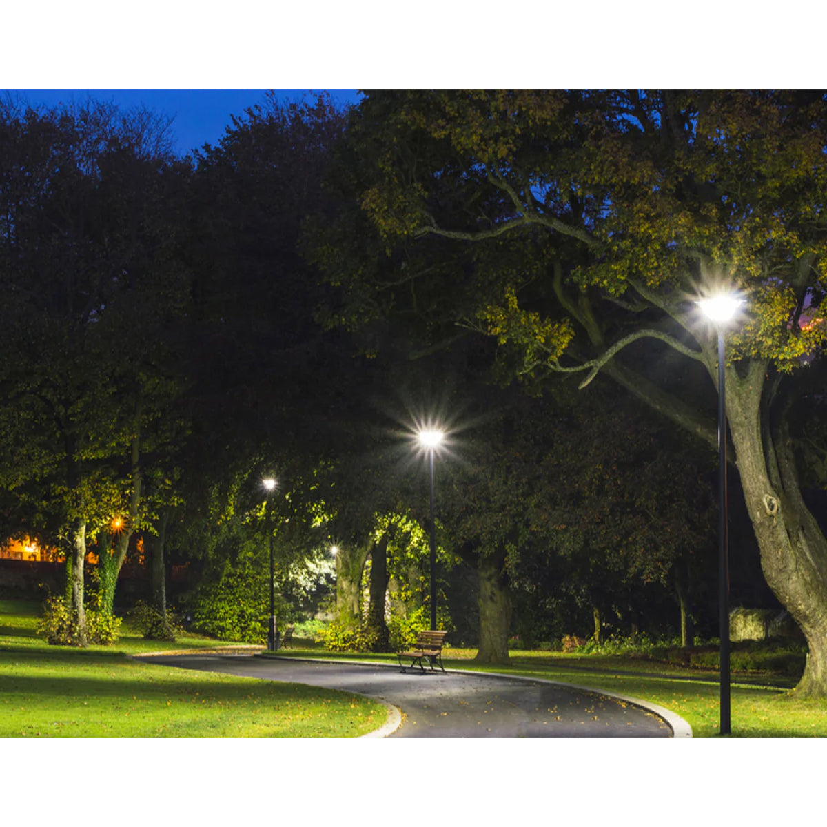 Ultra LED HID Replacement Lamp, 27W|36W|45W, 7000lm, Selectable CCT, EX39 Mogul, 120-277V - Bees Lighting