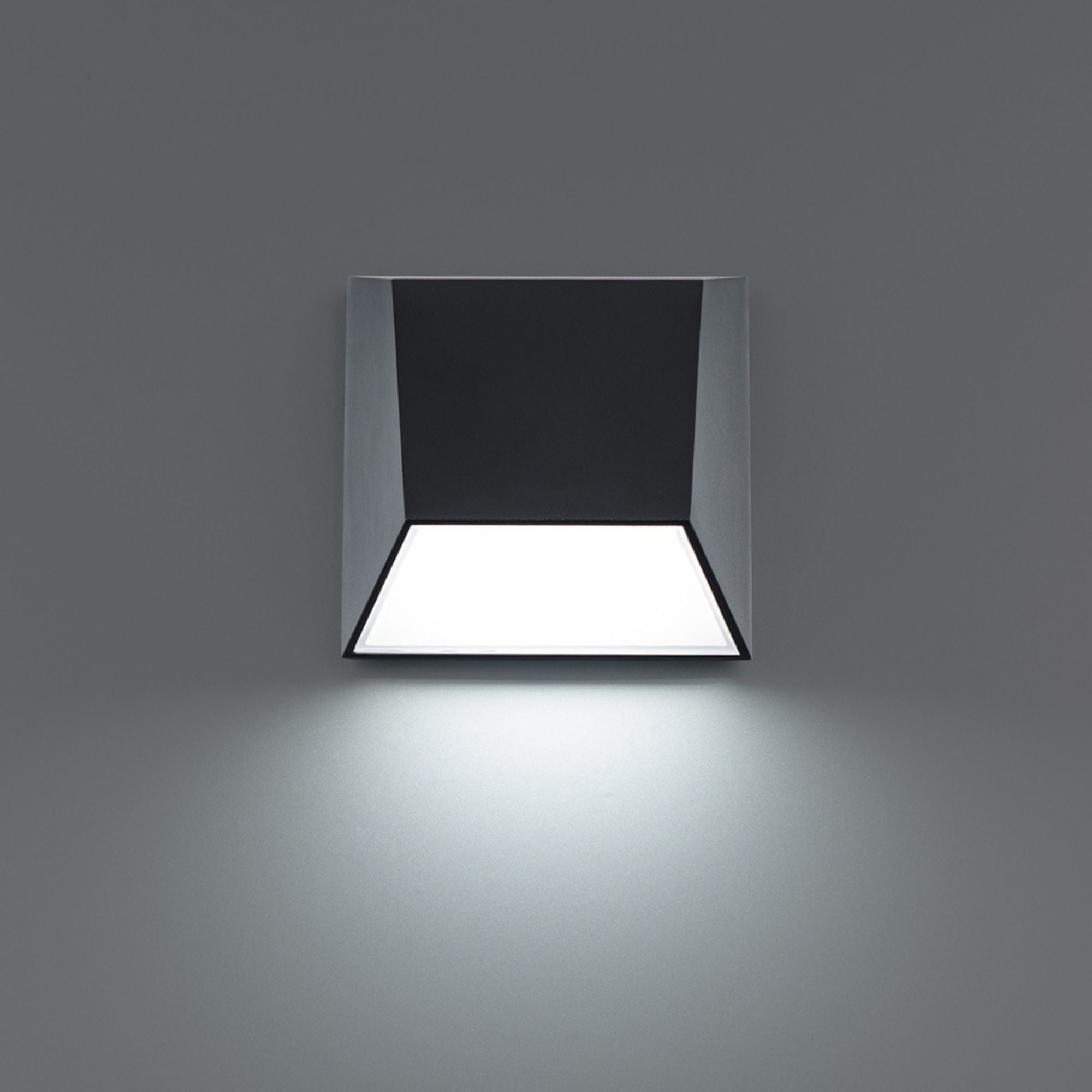 Atlantis 6 in LED Outdoor Wall Sconce CCT Selectable Black Finish - Bees Lighting