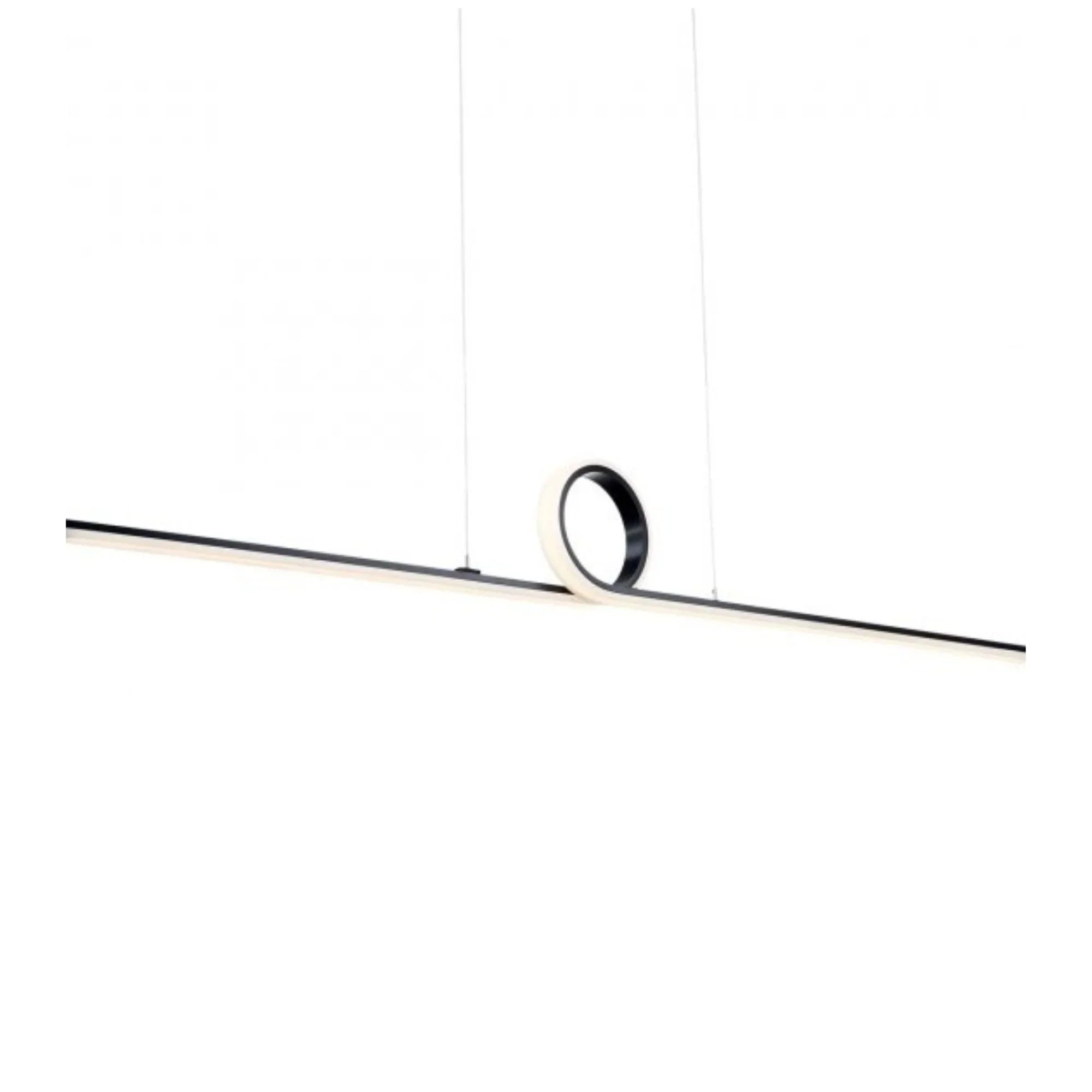 Loophole 52" LED Pendant, Black Finish - Bees Lighting