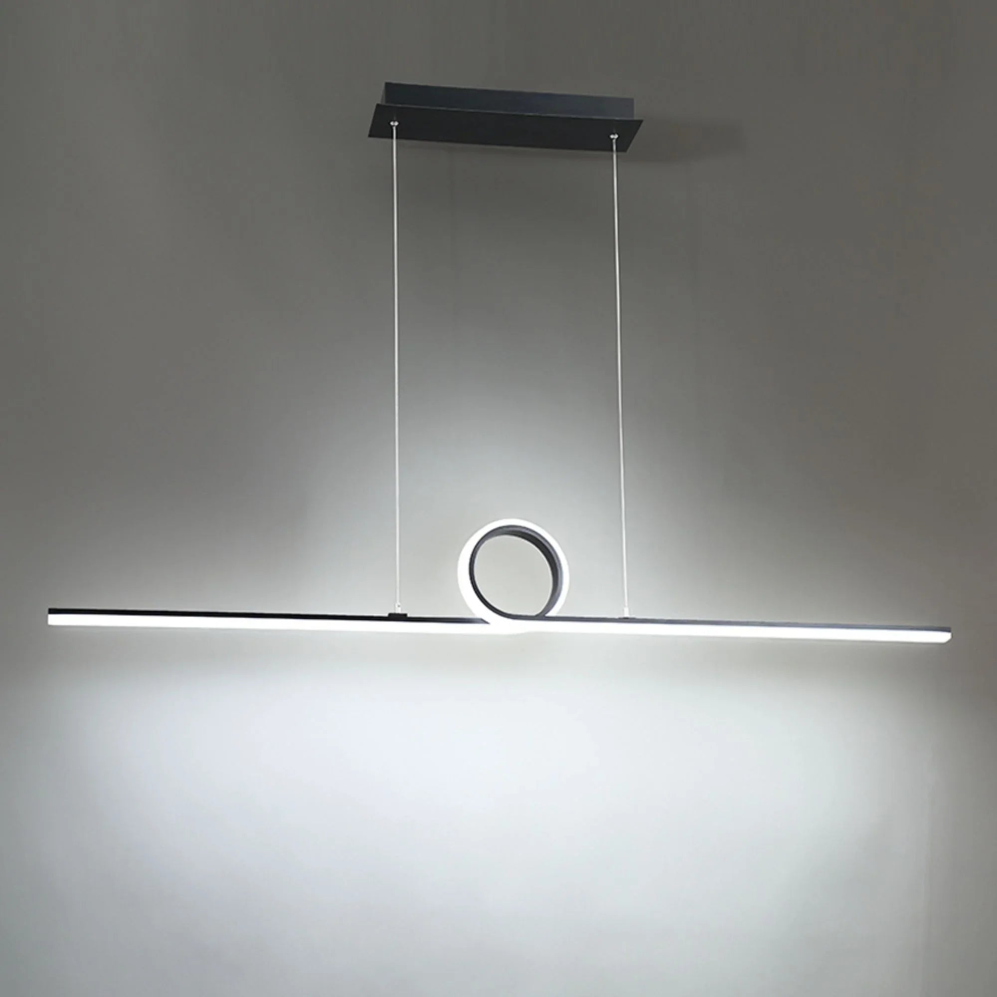 Loophole 52" LED Pendant, Black Finish - Bees Lighting