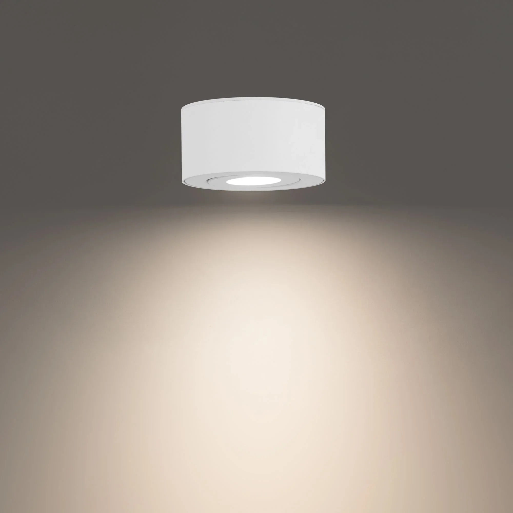 Peek 5" LED Outdoor Flush Mount, 3CCT, White Finish - Bees Lighting